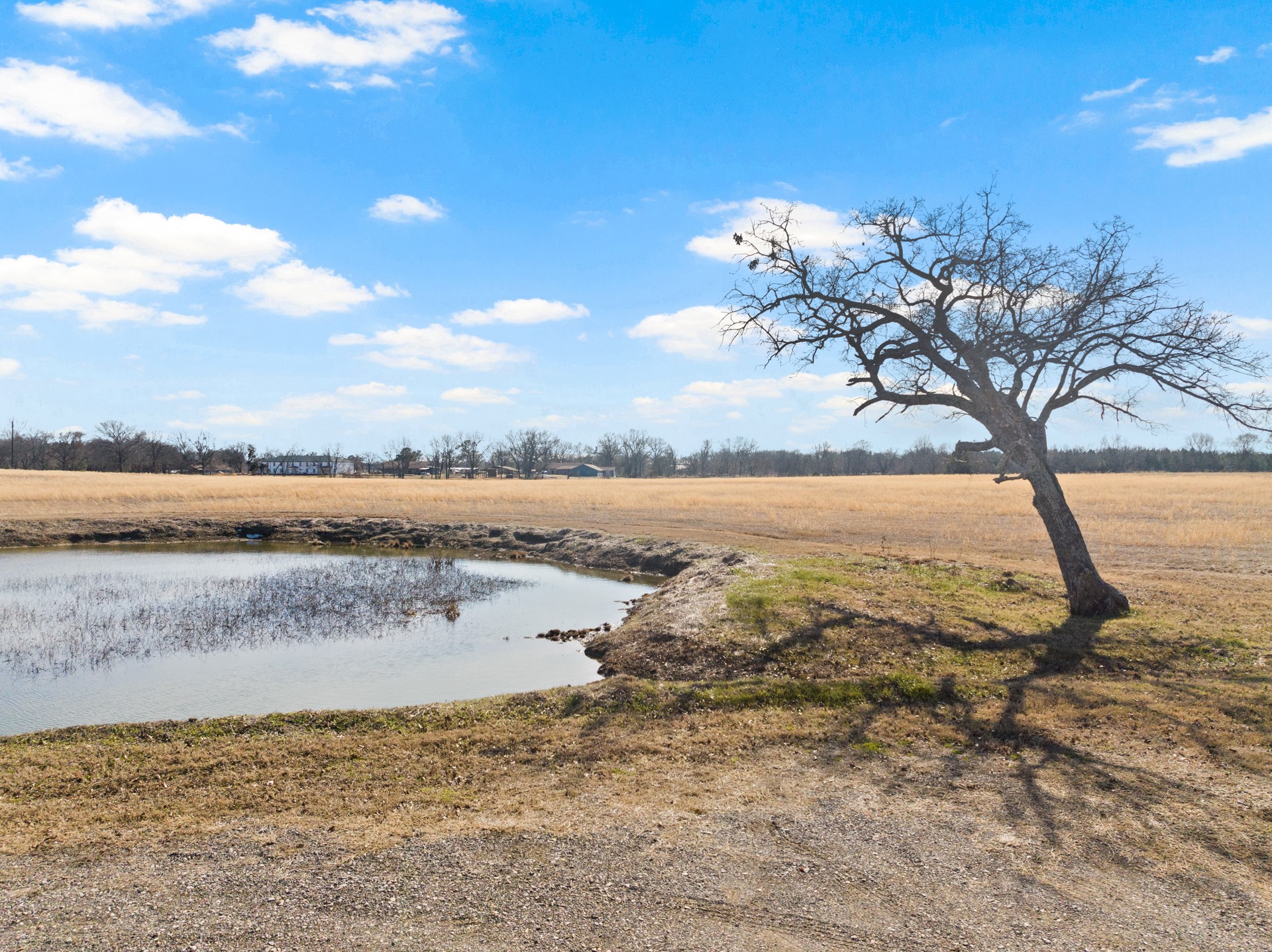 236 County Road 2391