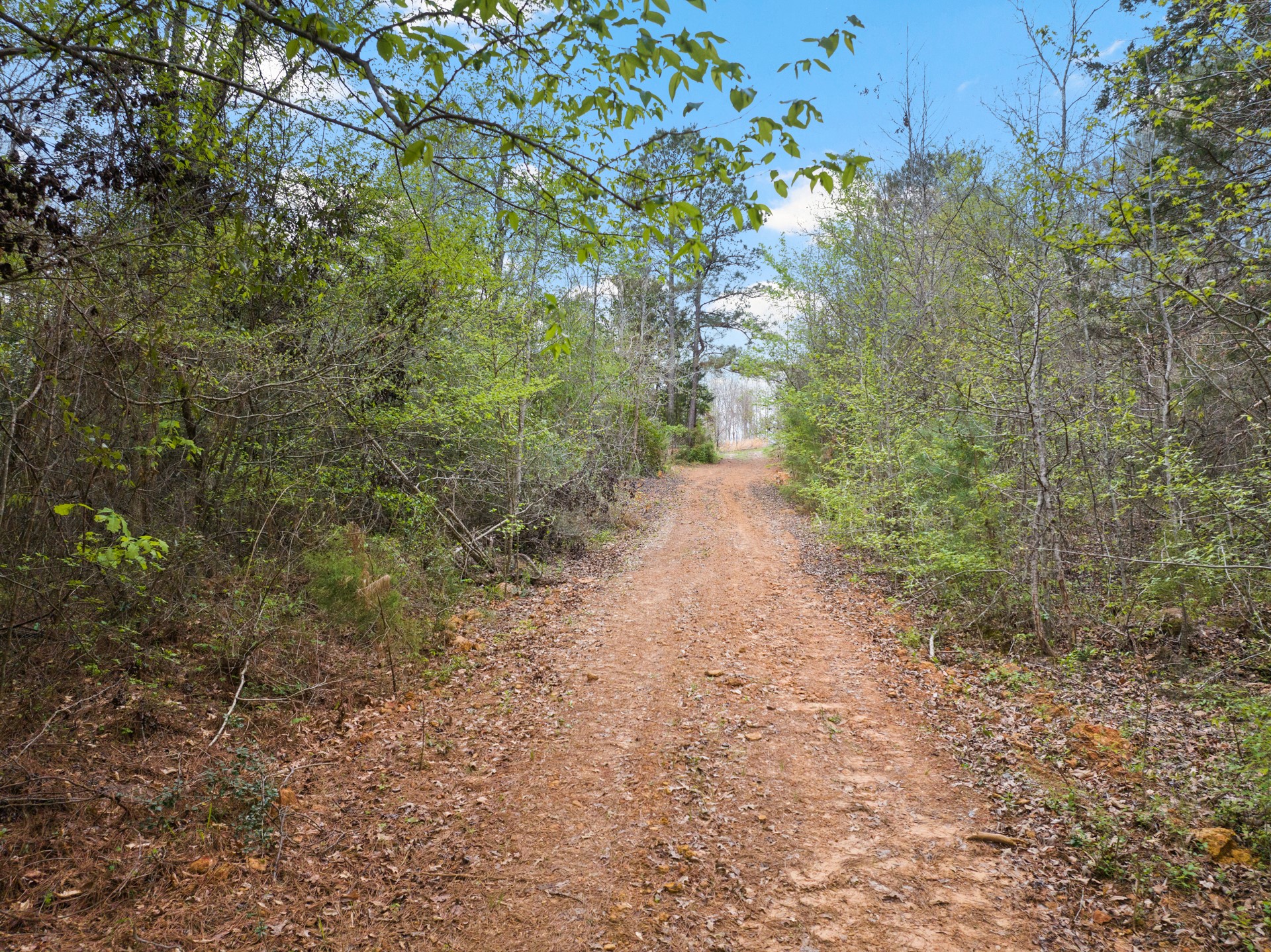 TBD CR 2920