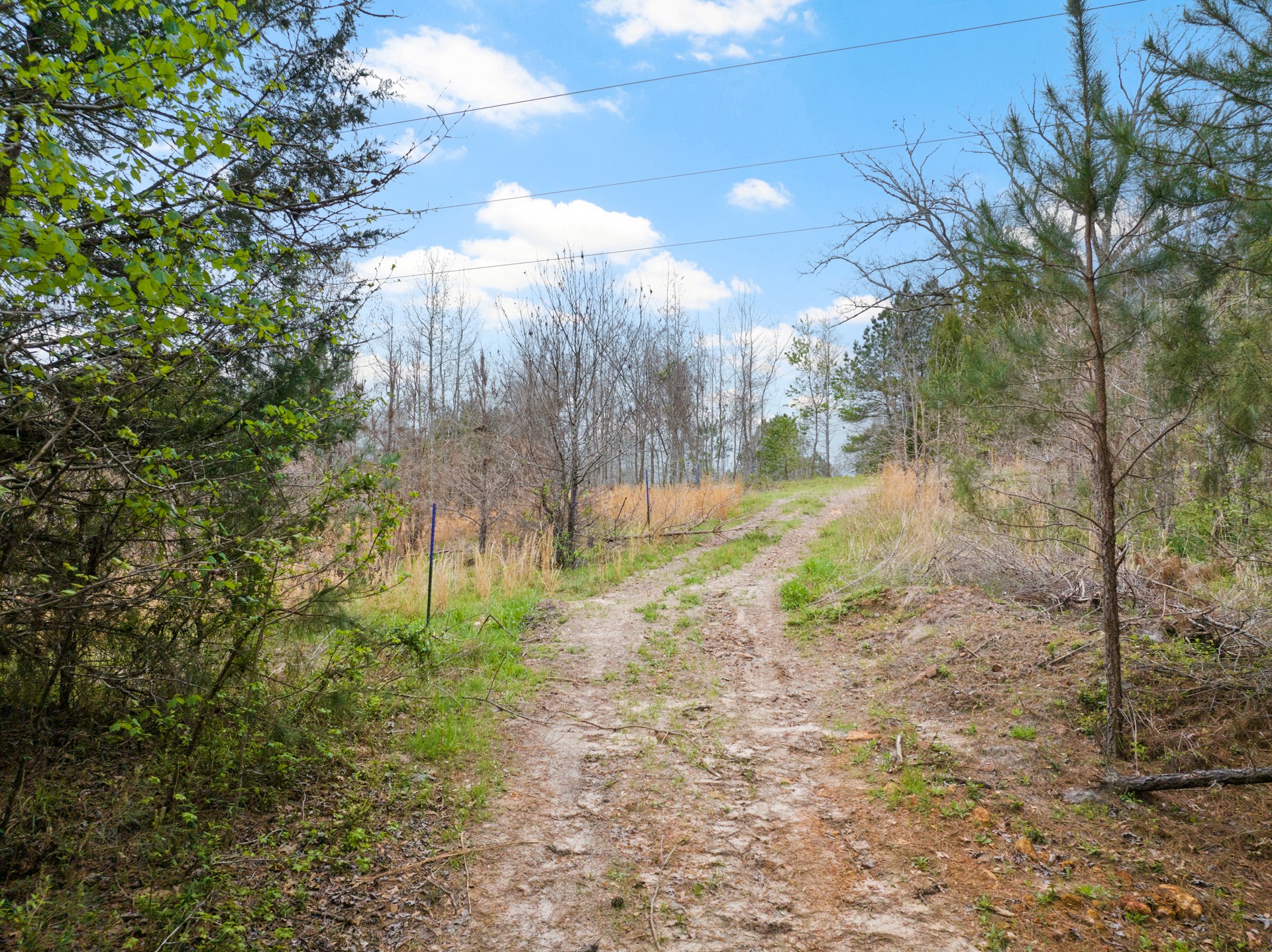 TBD CR 2920