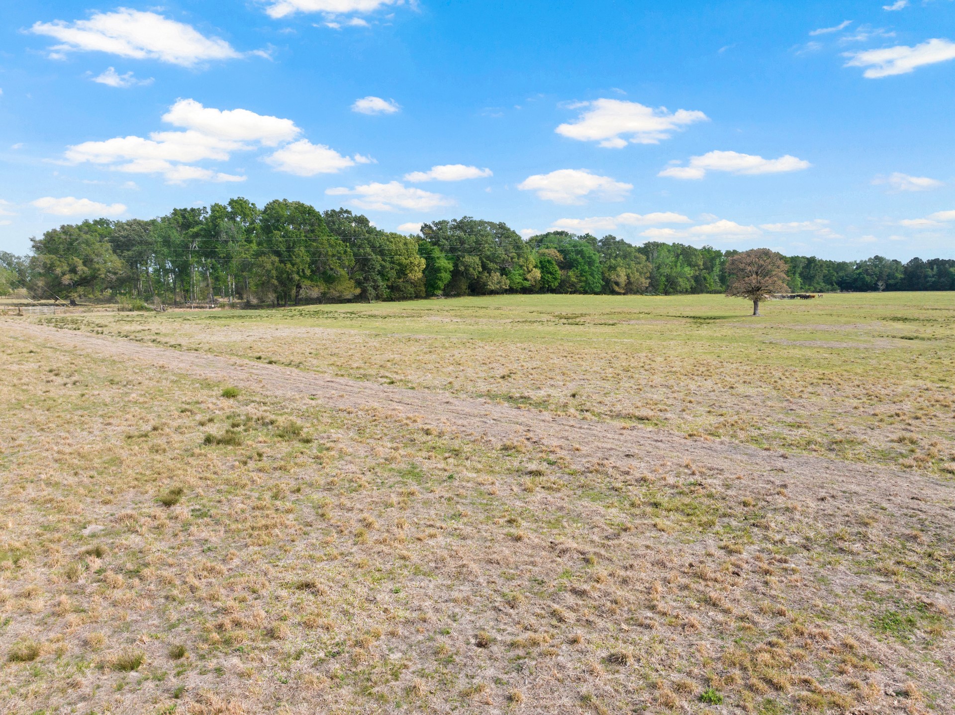 TBD County Road 4287