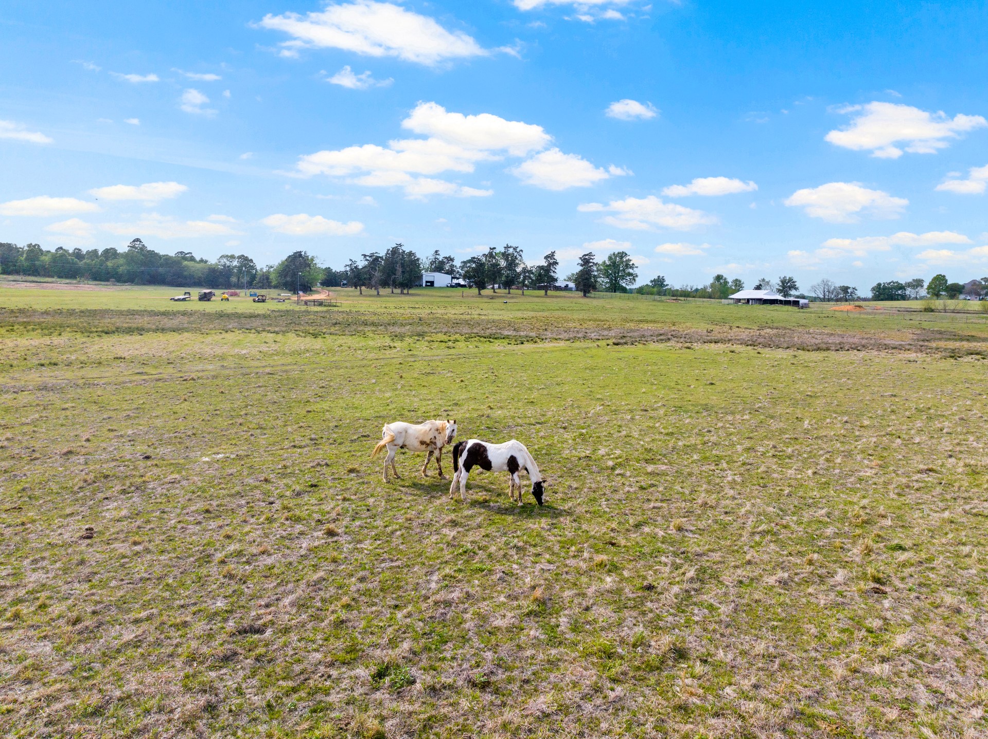 TBD County Road 4287