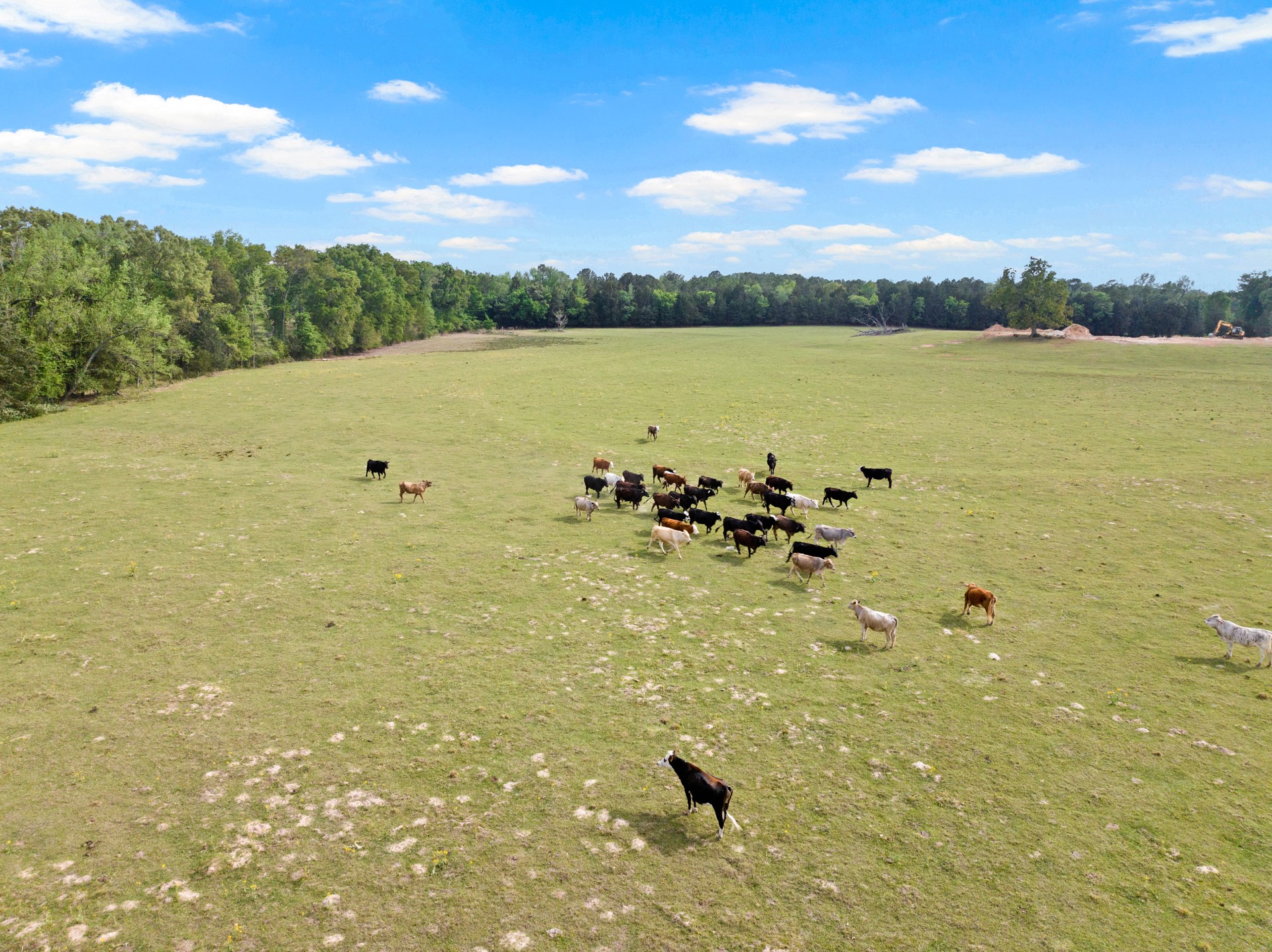 TBD County Road 4287