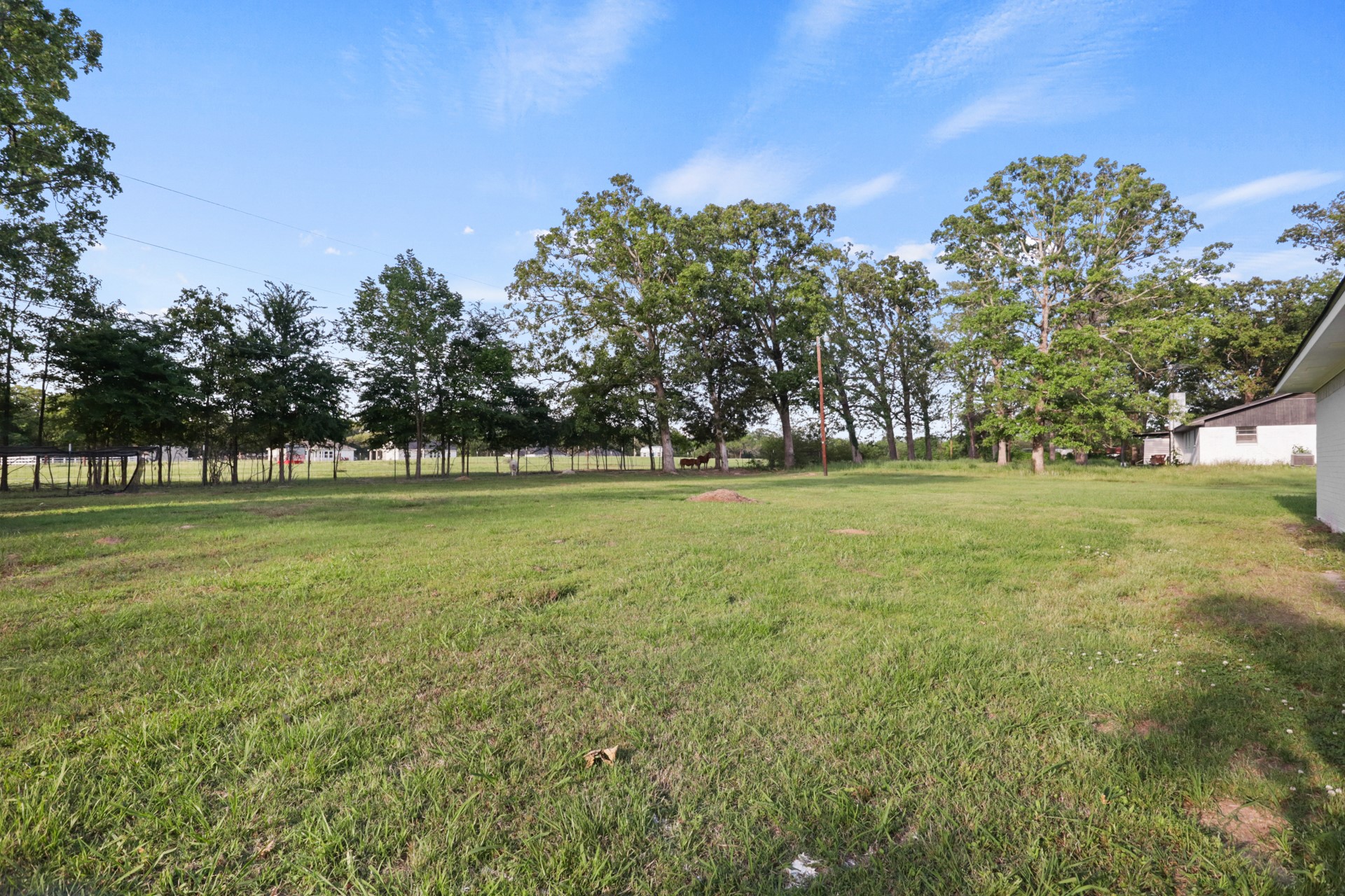 194 County Road 1720