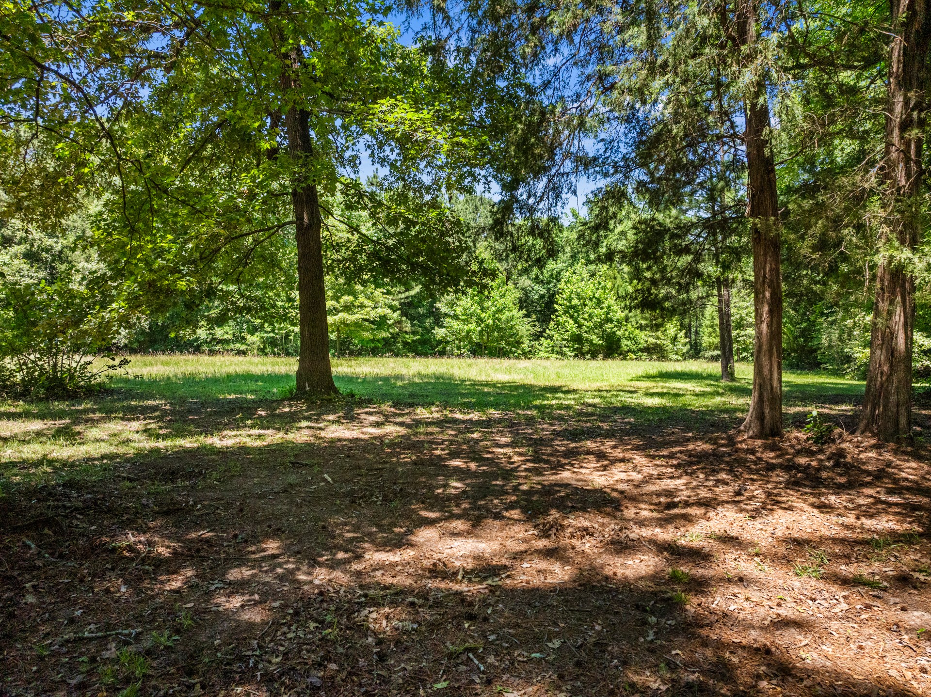 4469 County Road 1579