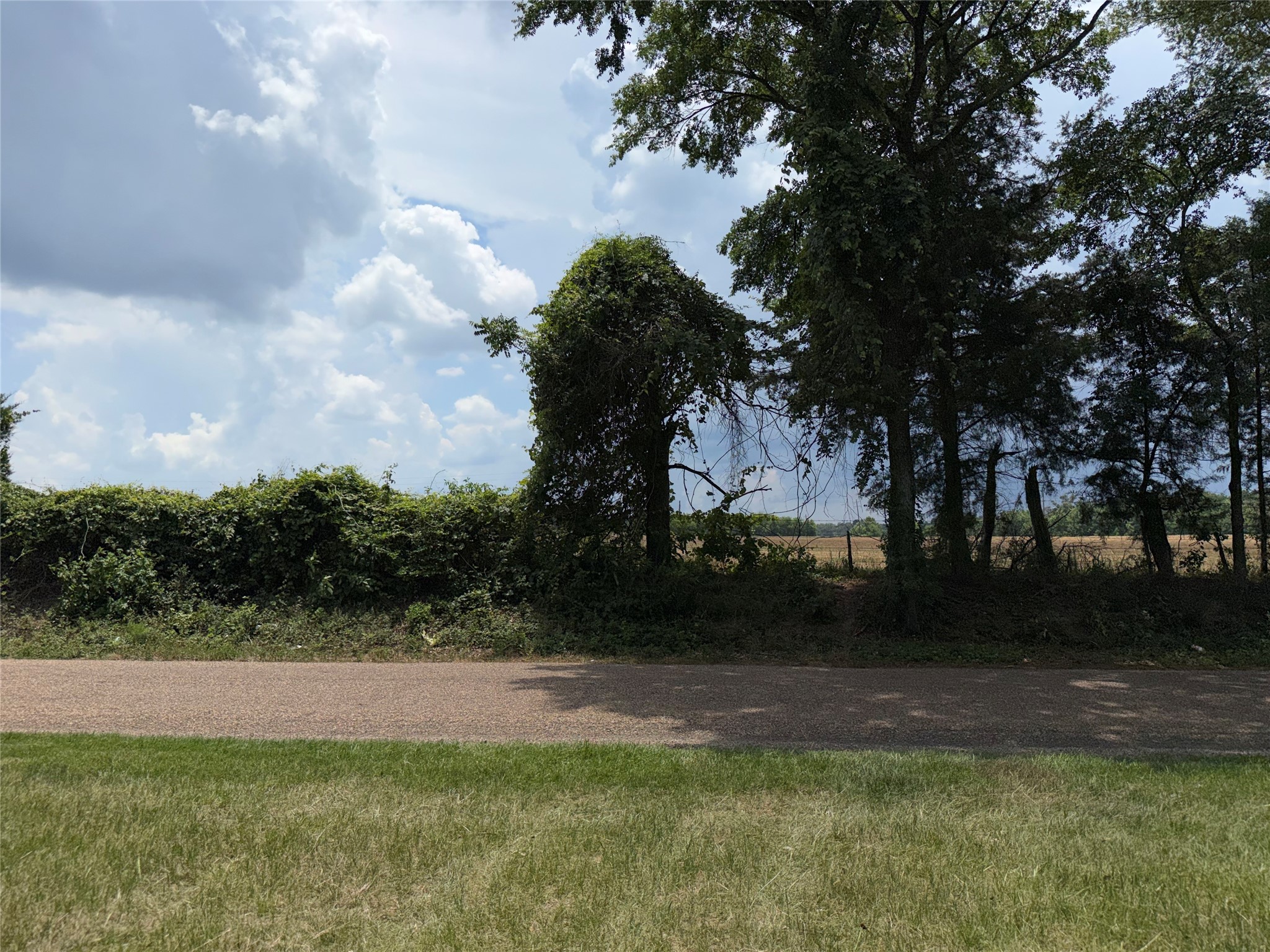 2118 County Road 4110