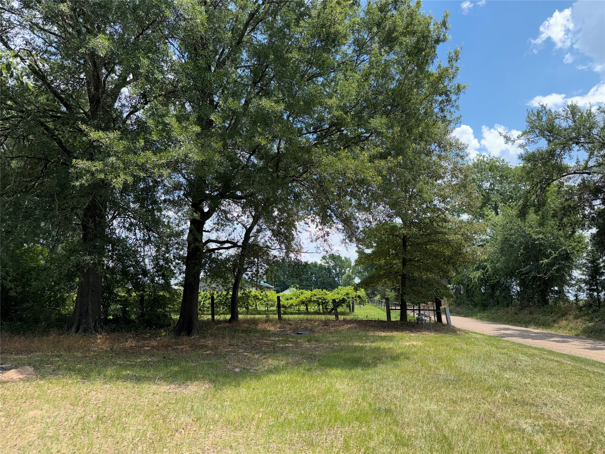 2118 County Road 4110