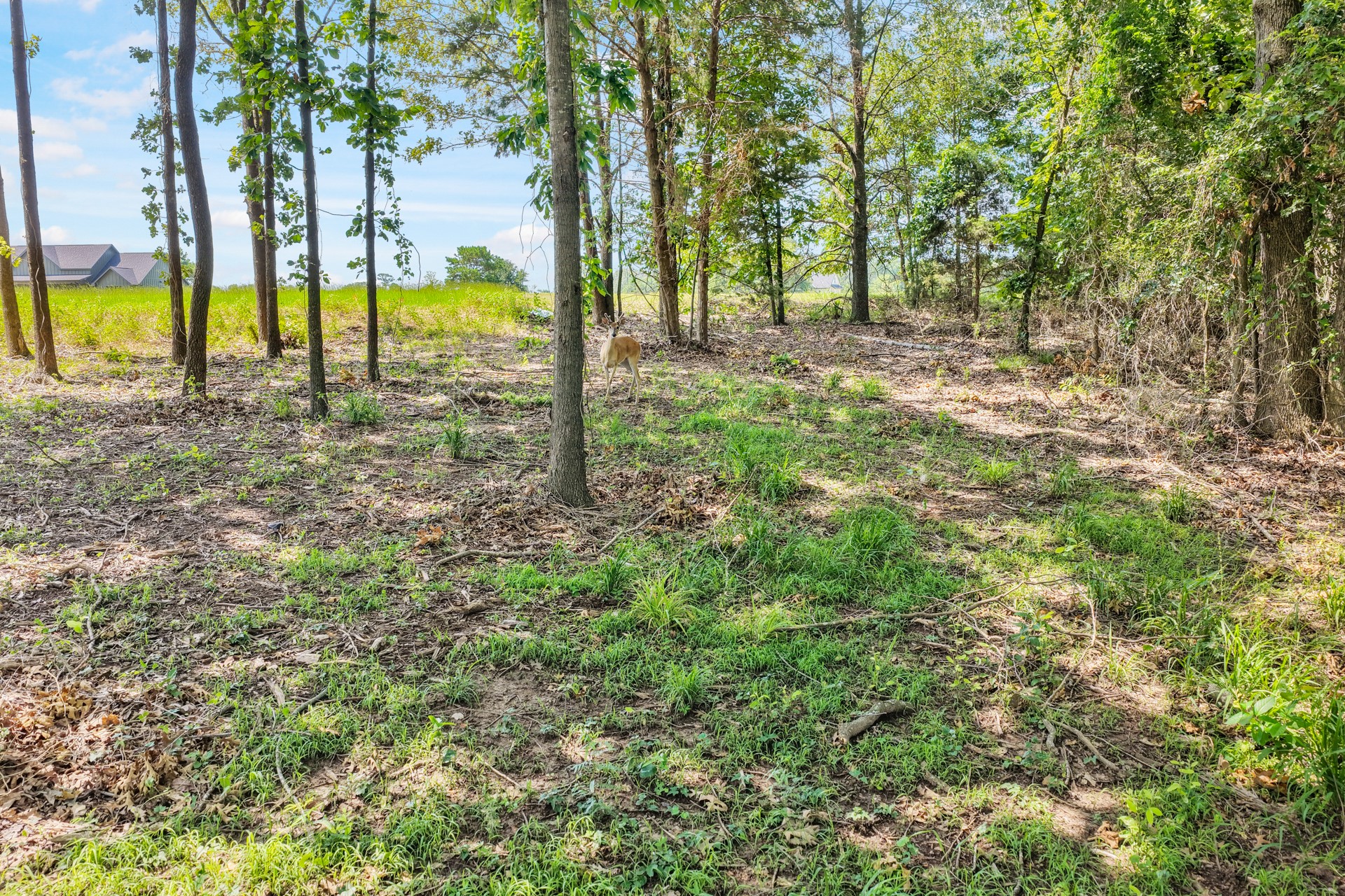 Lot 70 Private Road 2712