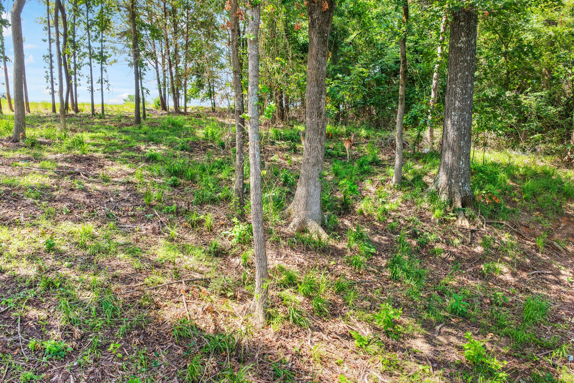Lot 70 Private Road 2712