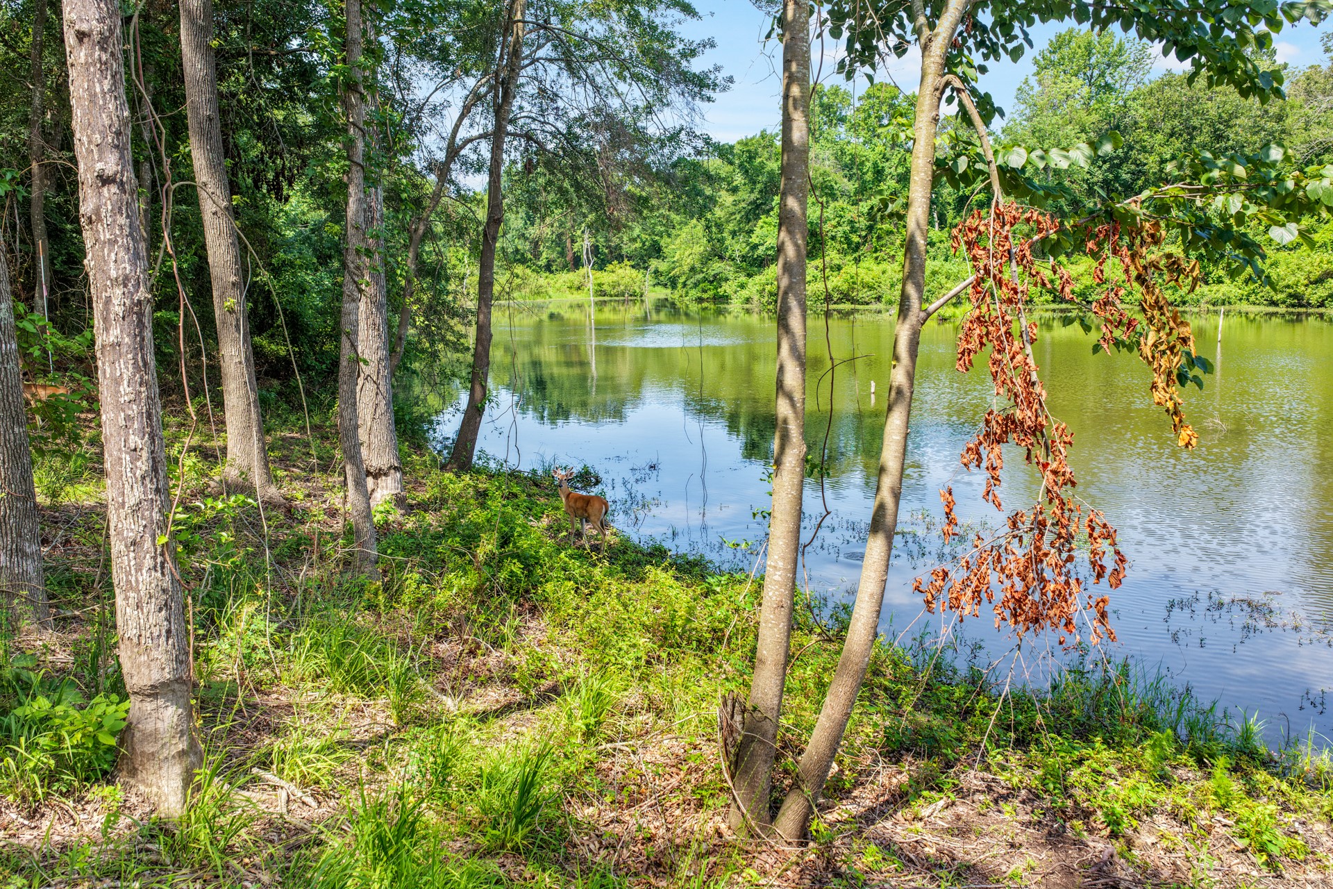 Lot 70 Private Road 2712