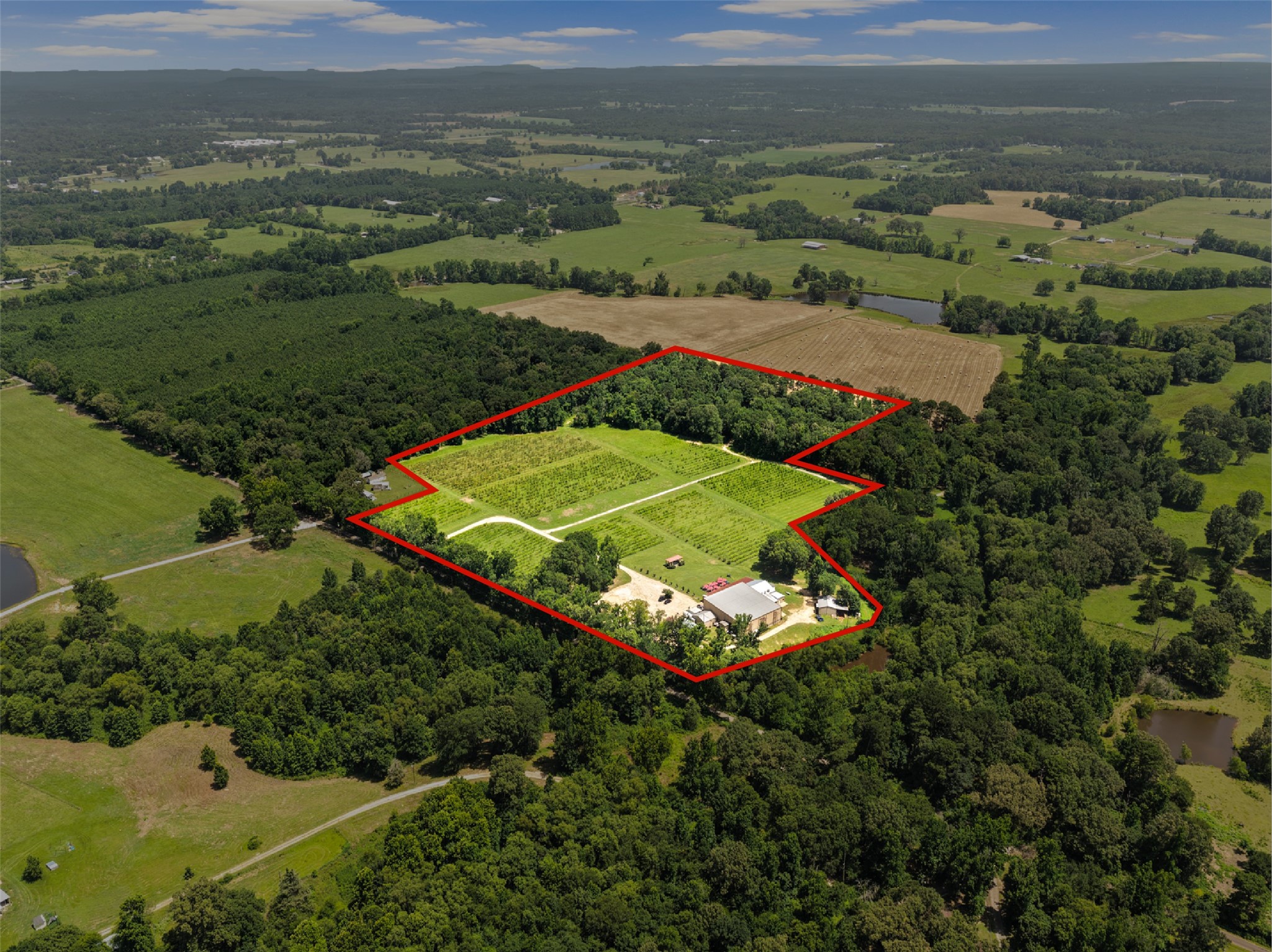 658 County Road 1334