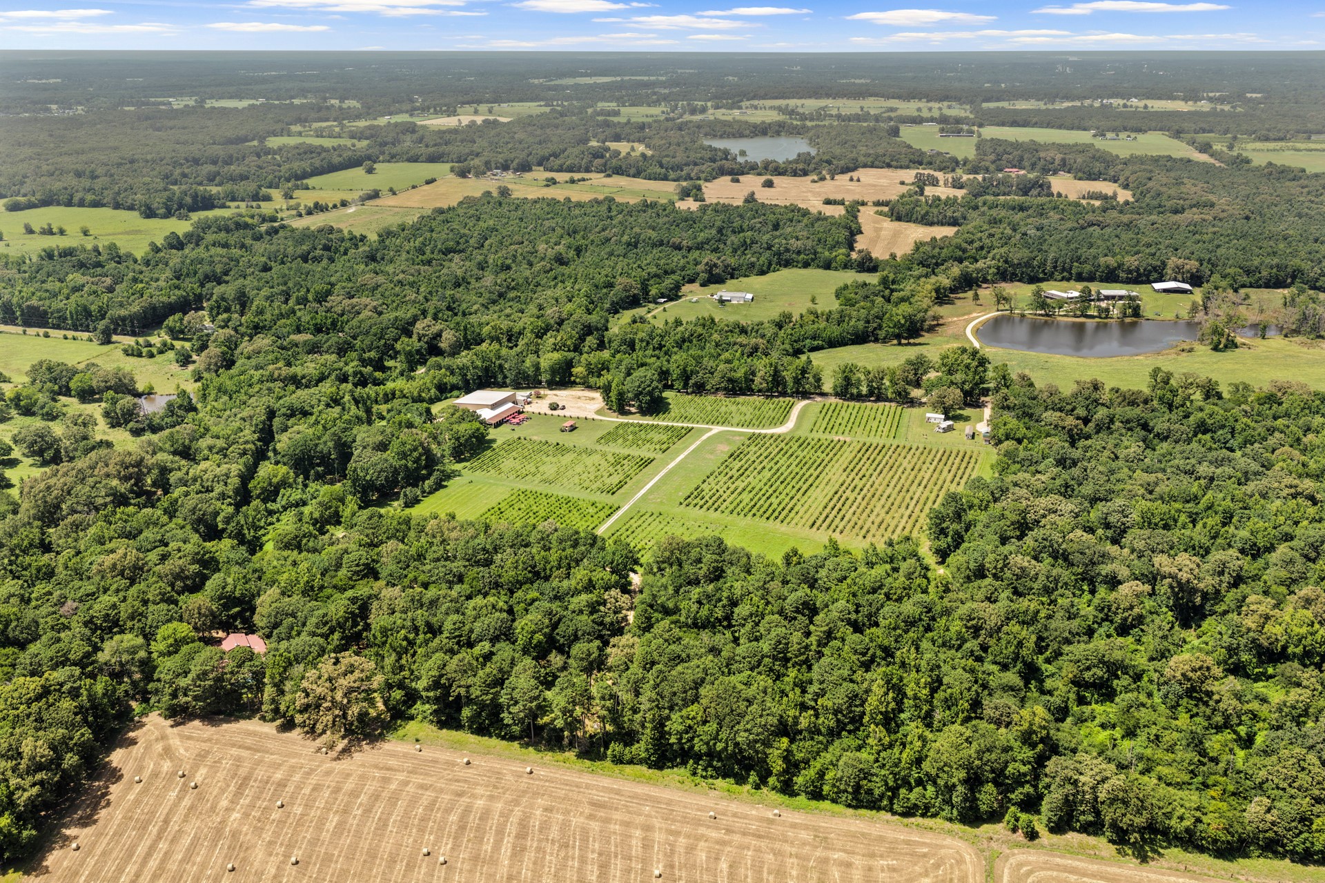 658 County Road 1334