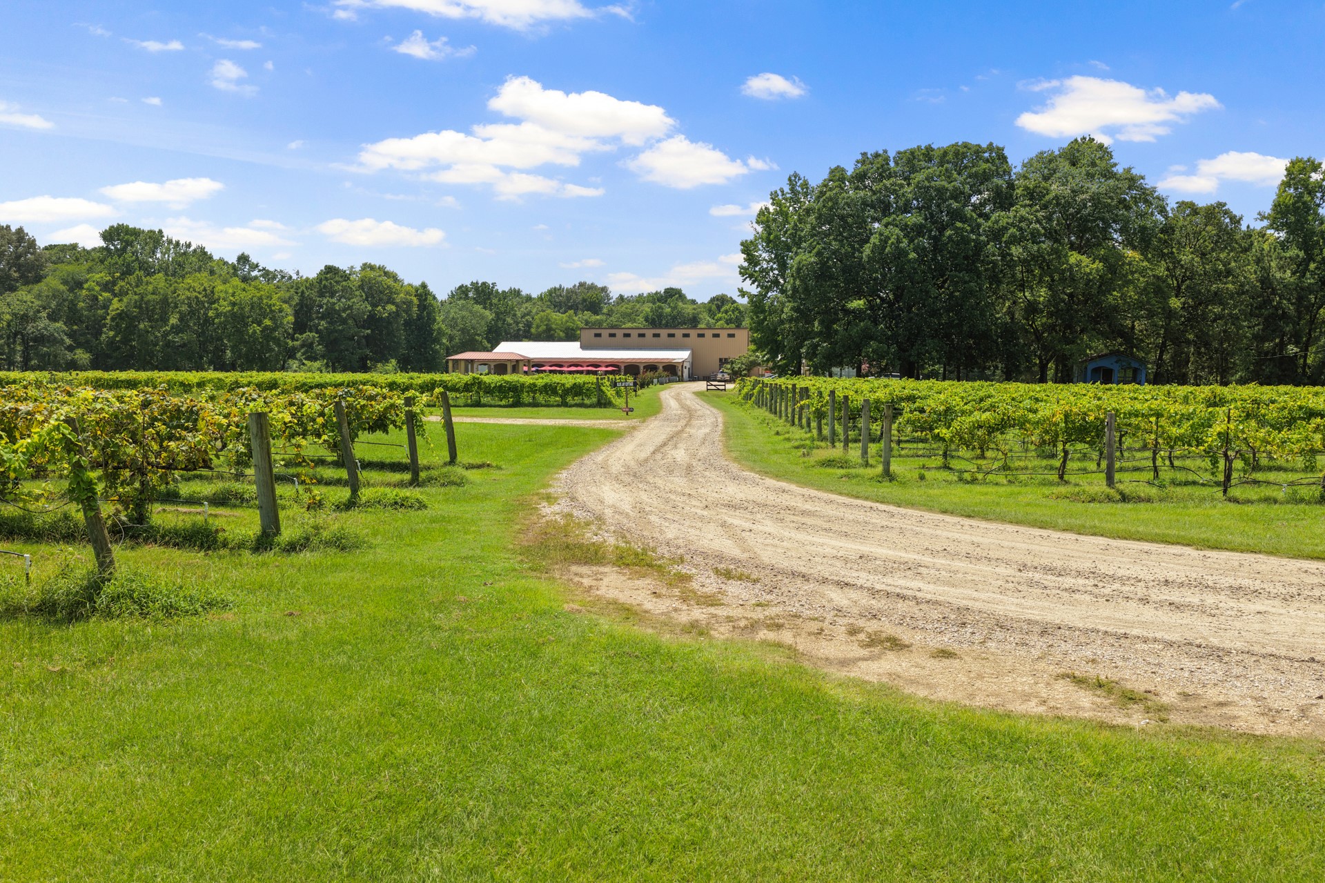 658 County Road 1334