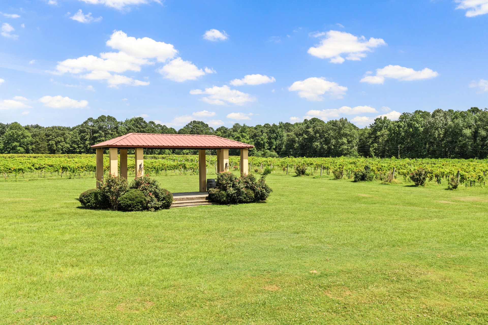 658 County Road 1334