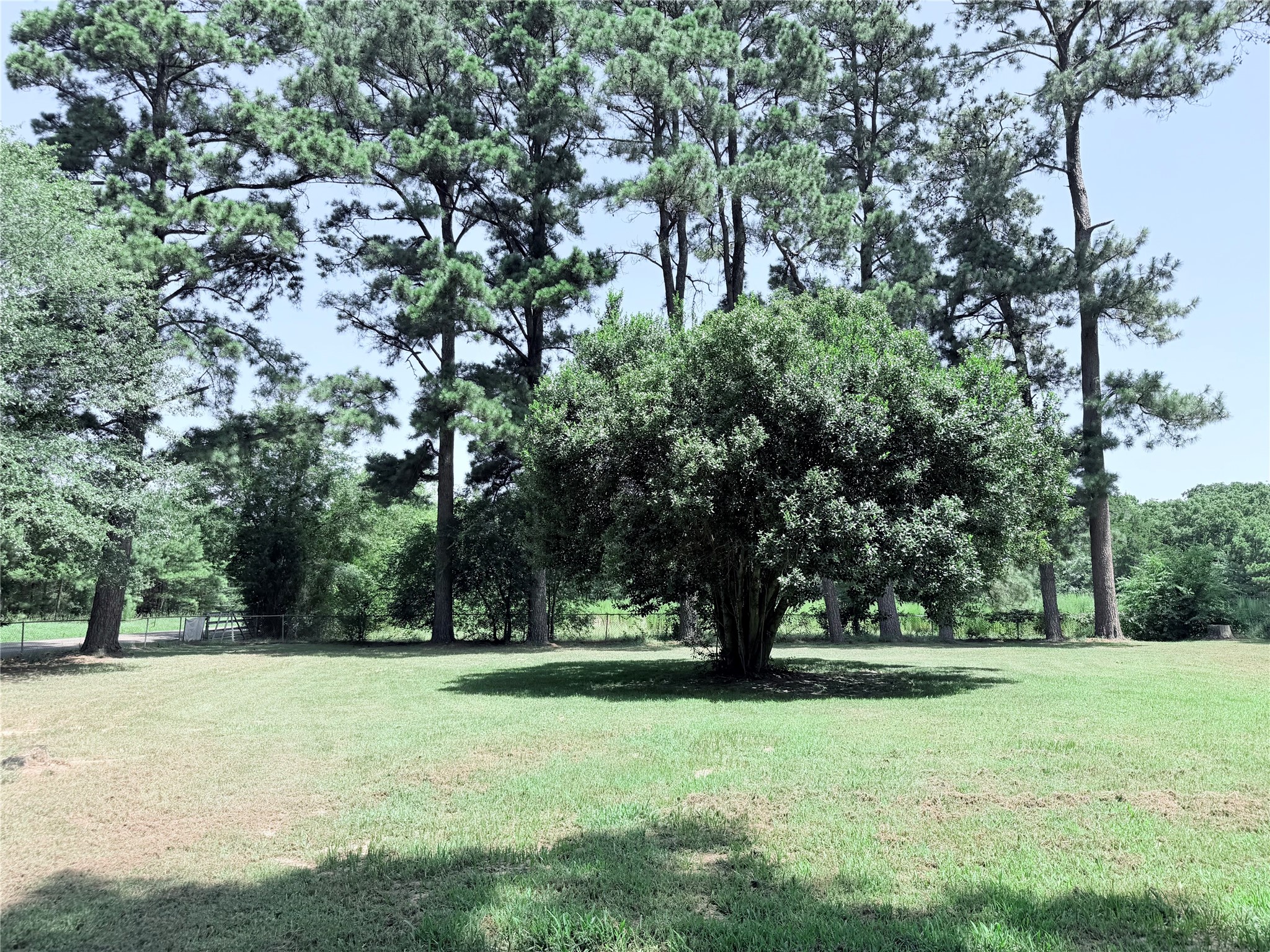 431 County Road 2715