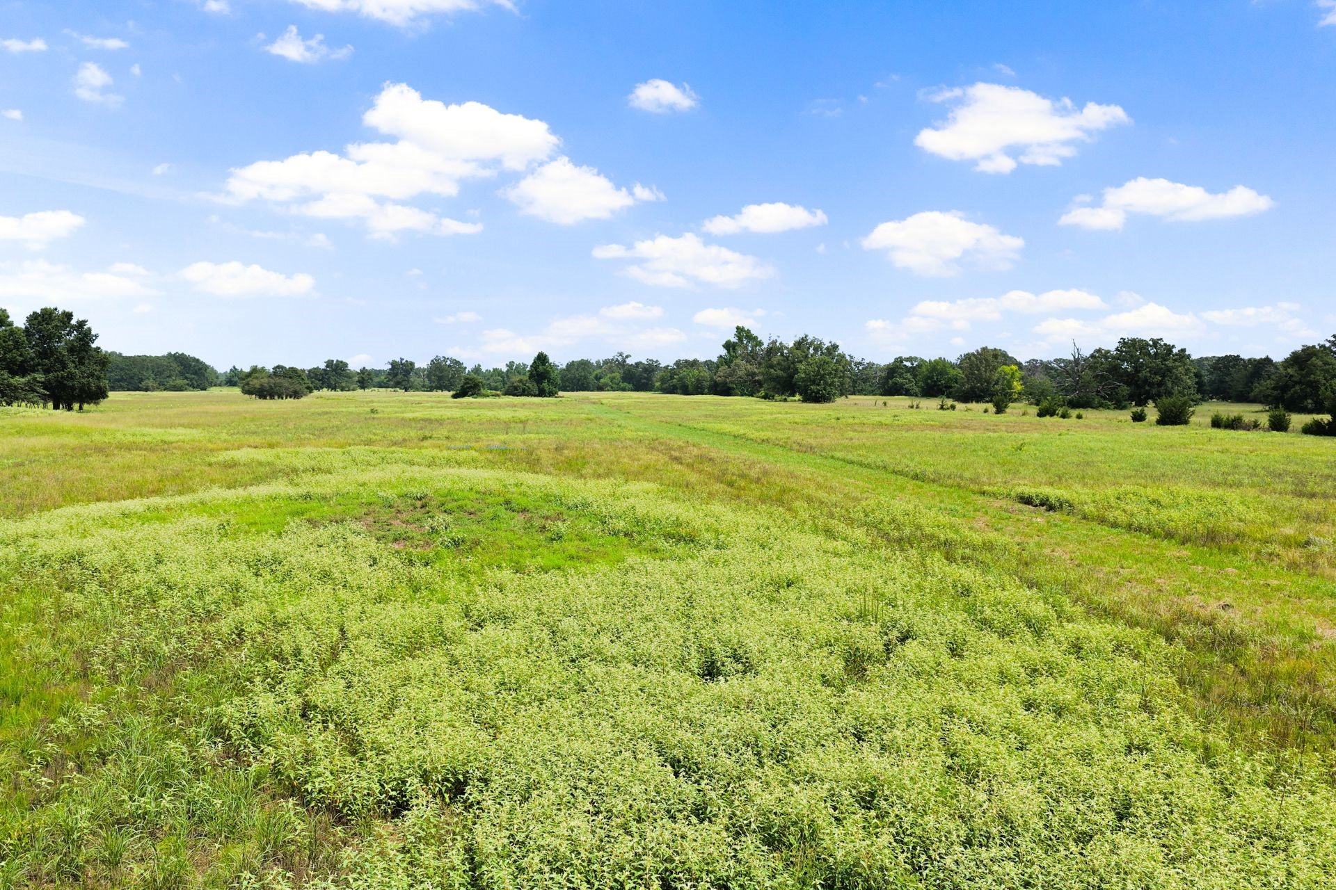 495 NE County Road 2220