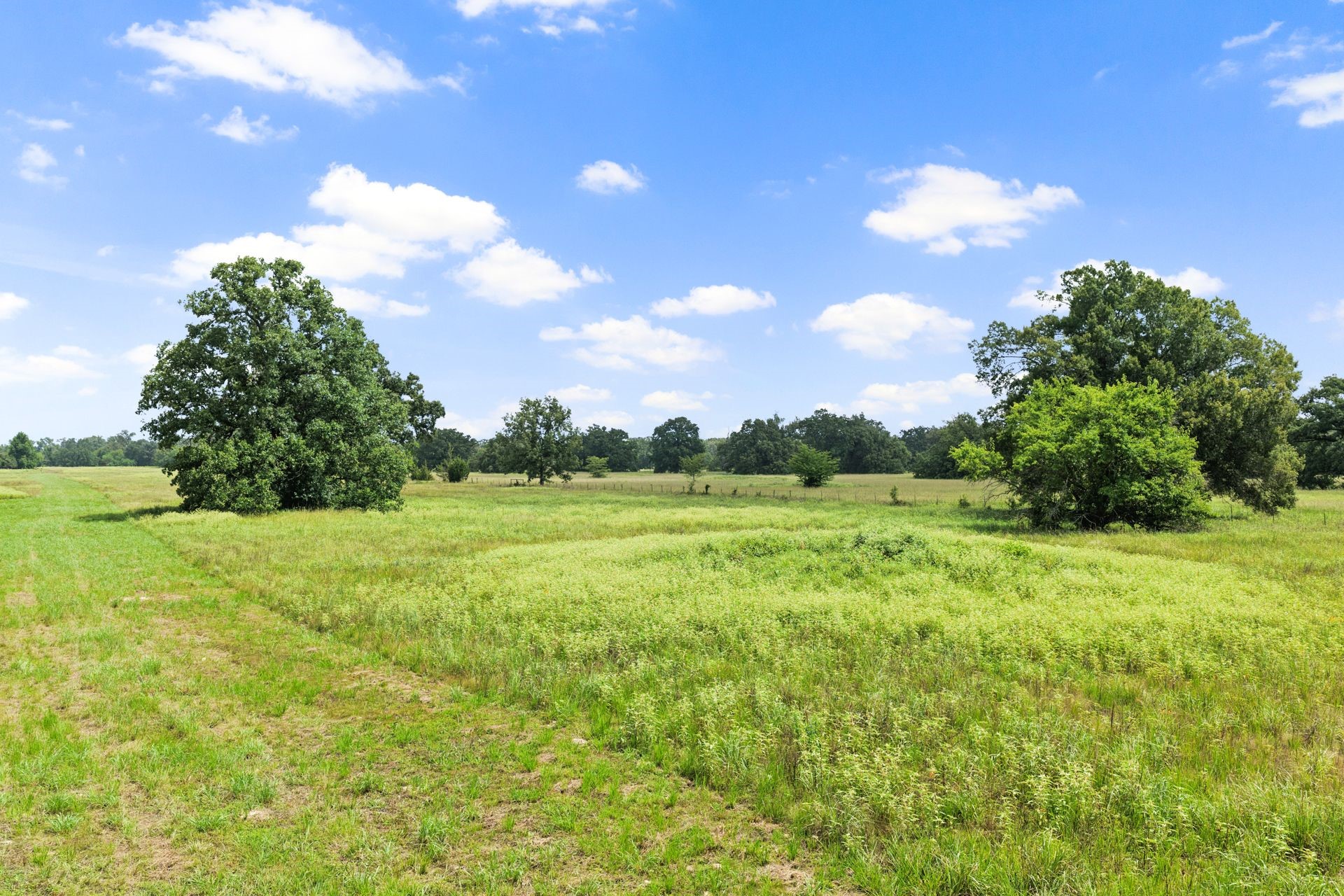 495 NE County Road 2220