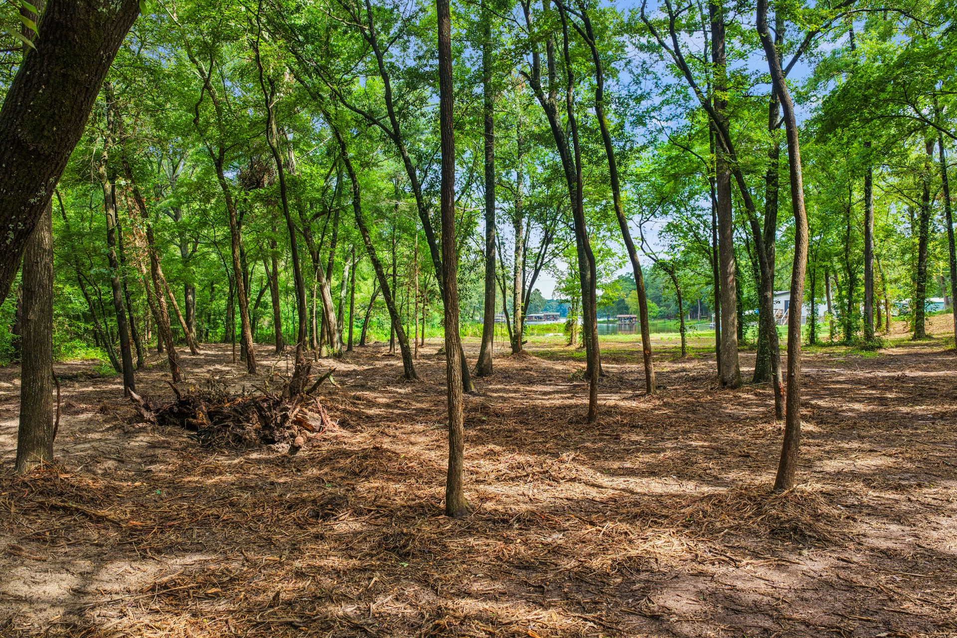 133 Sandy Lake