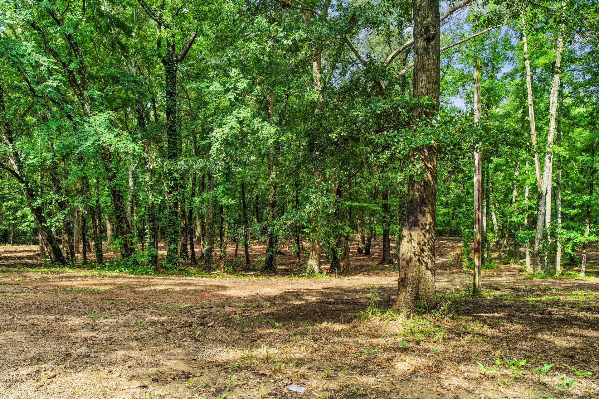 133 Sandy Lake