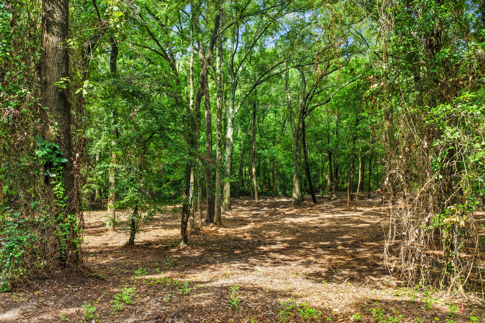 133 Sandy Lake