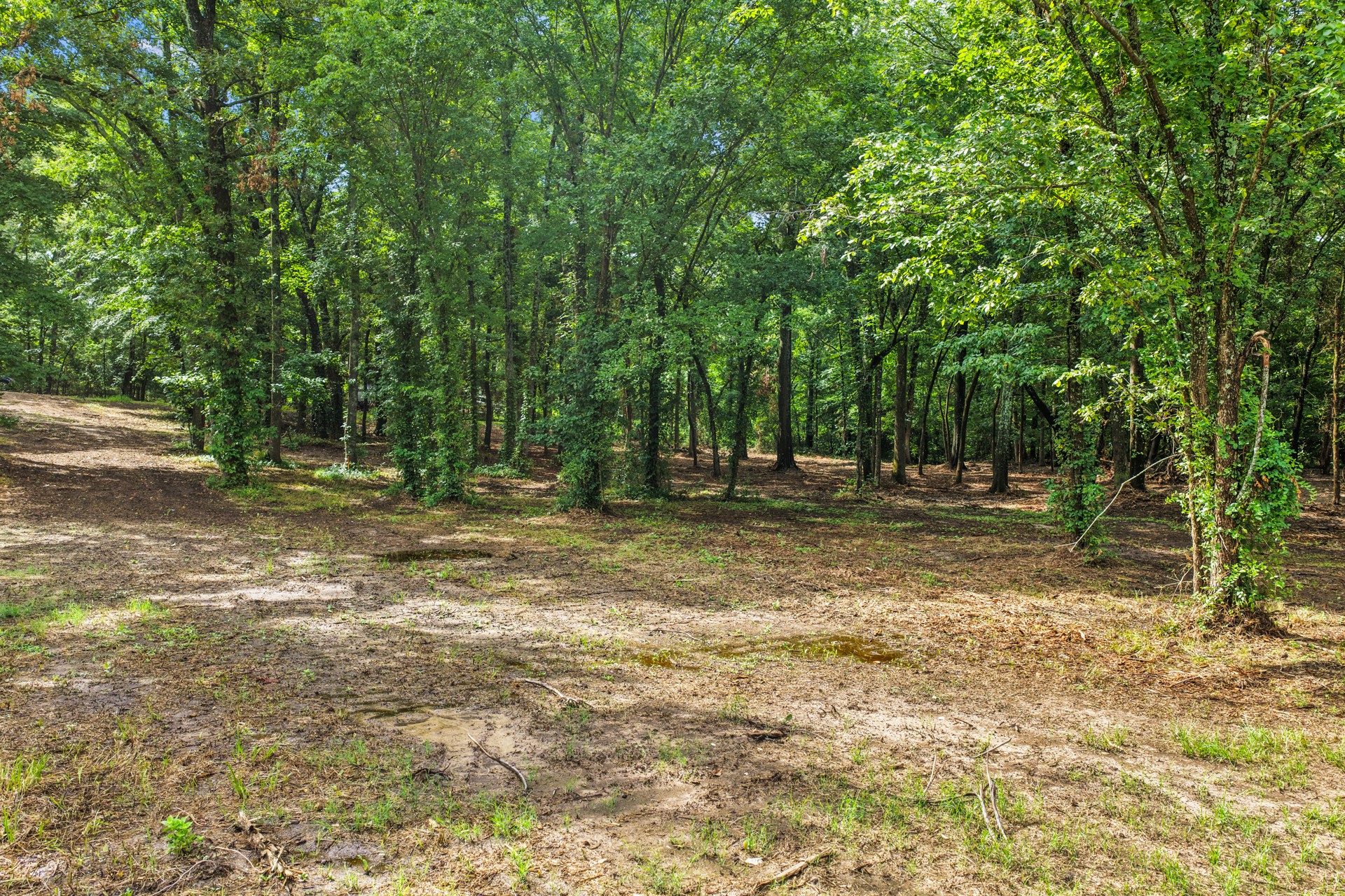 133 Sandy Lake