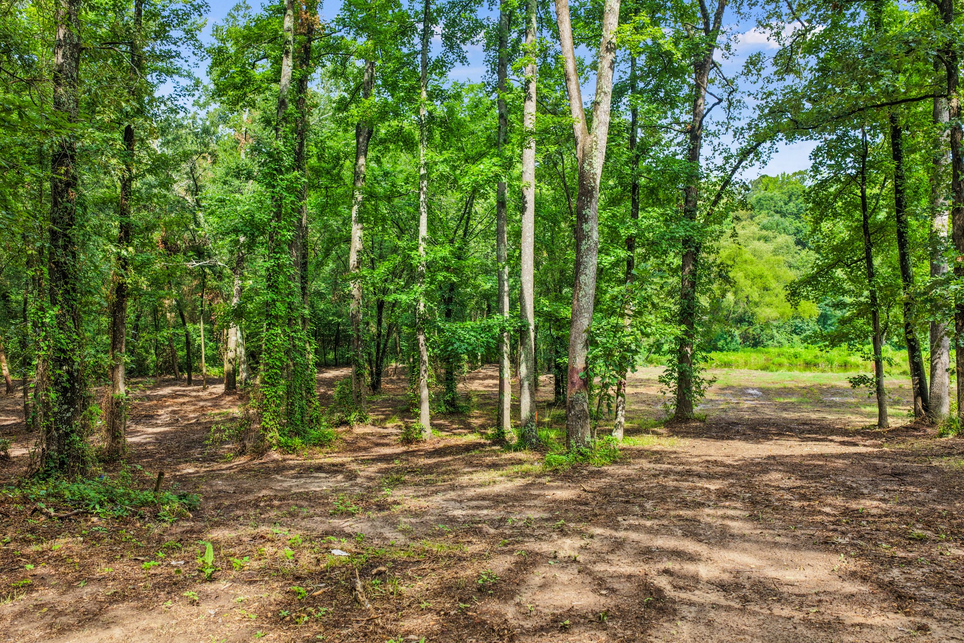 133 Sandy Lake