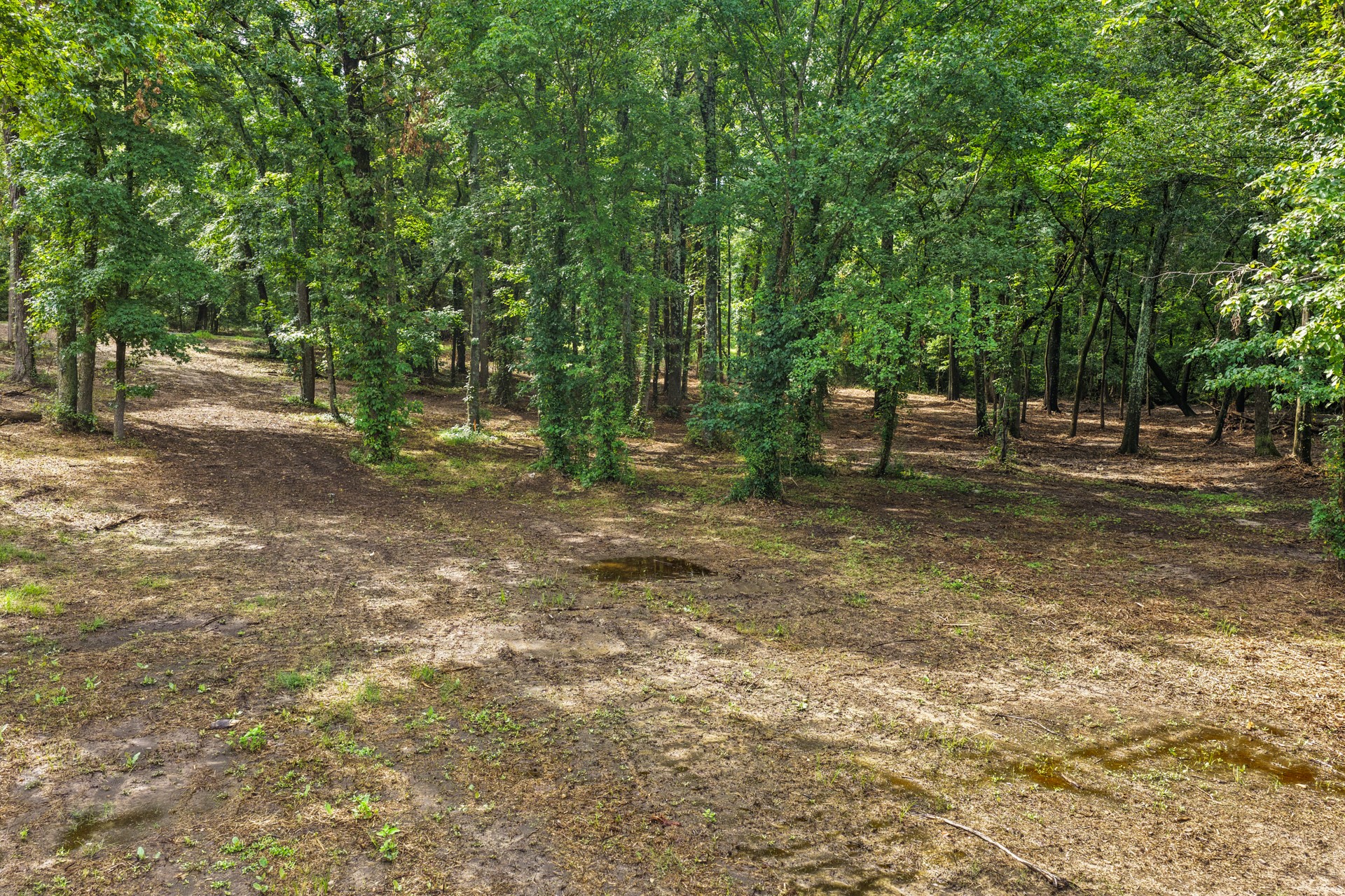 133 Sandy Lake