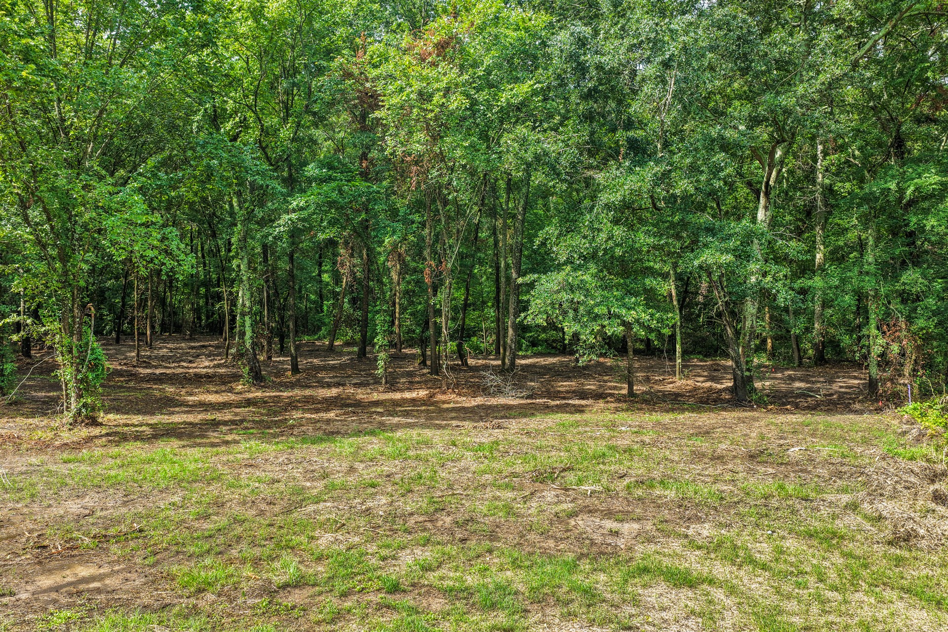 133 Sandy Lake