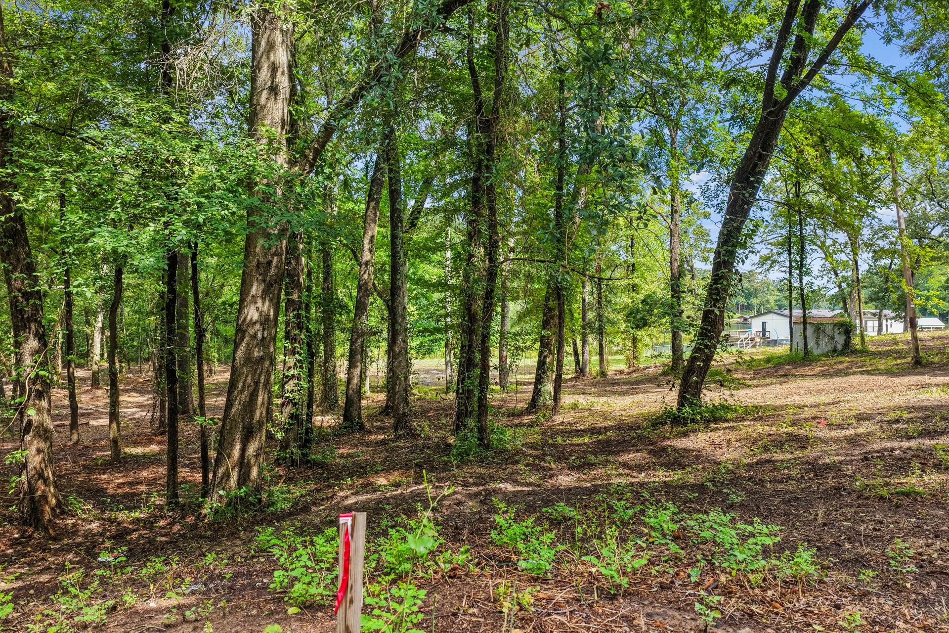 133 Sandy Lake