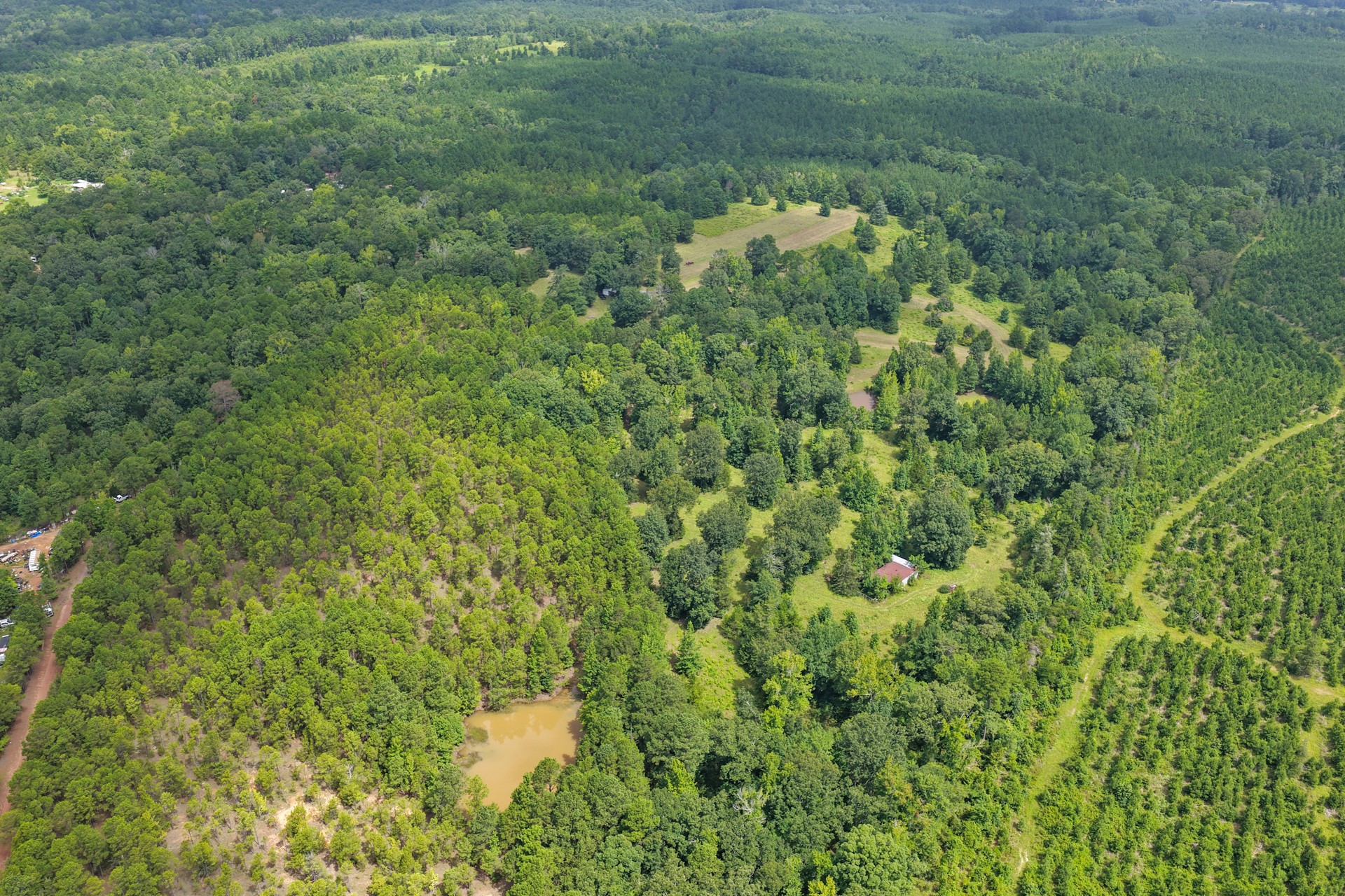 1381 COUNTY ROAD 1763