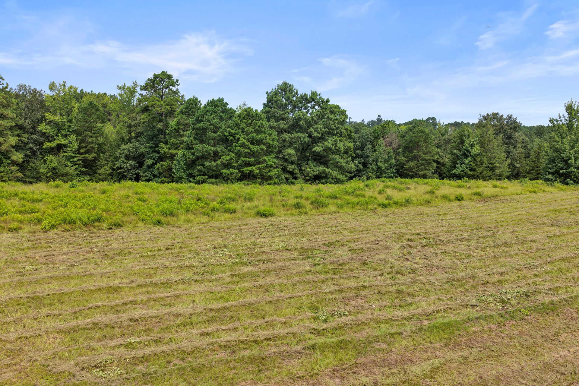 1381 COUNTY ROAD 1763