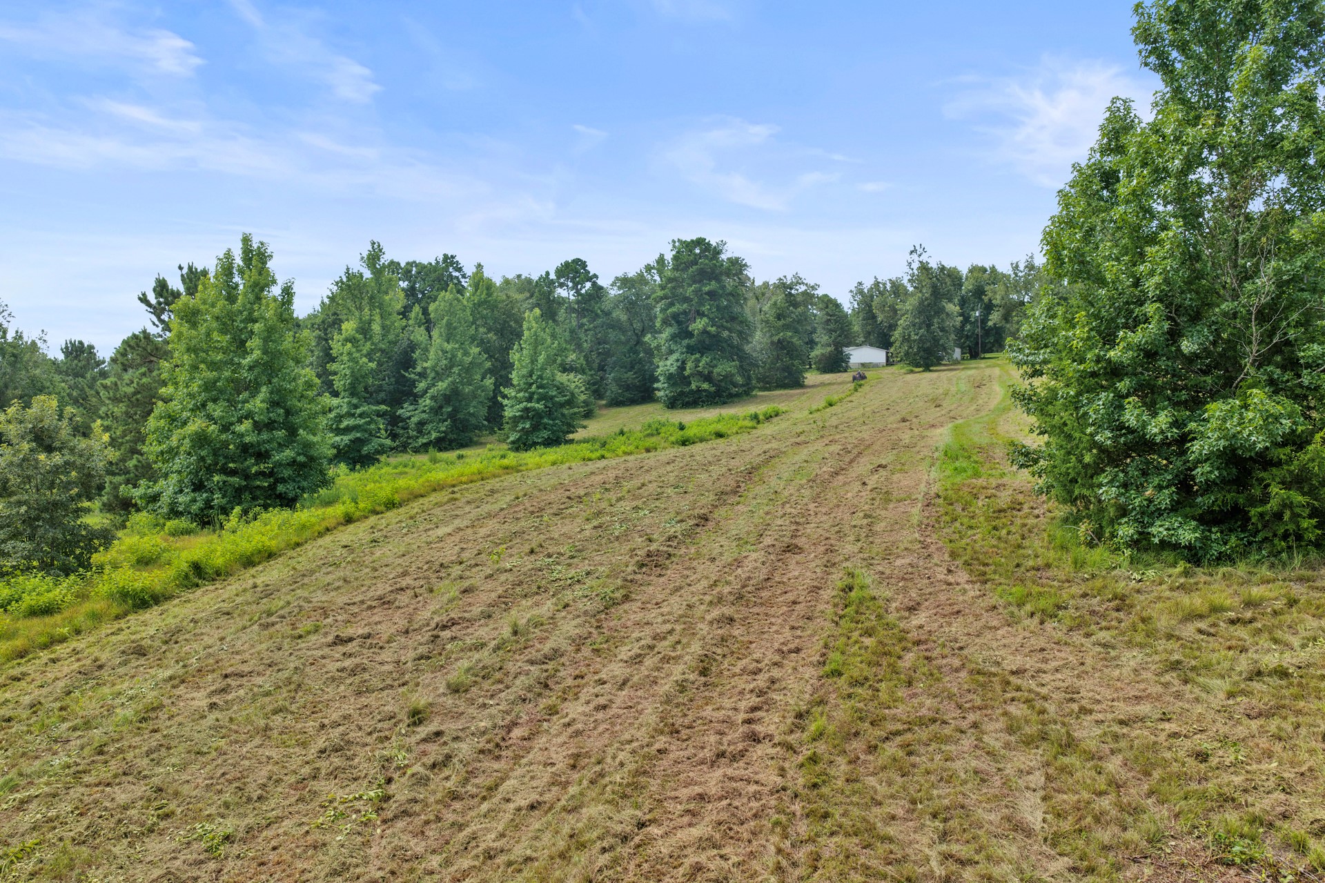 1381 COUNTY ROAD 1763