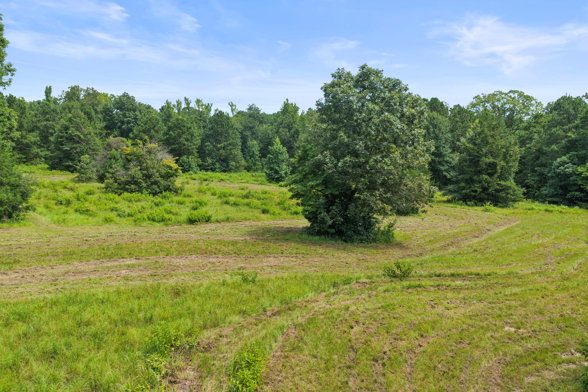 1381 COUNTY ROAD 1763