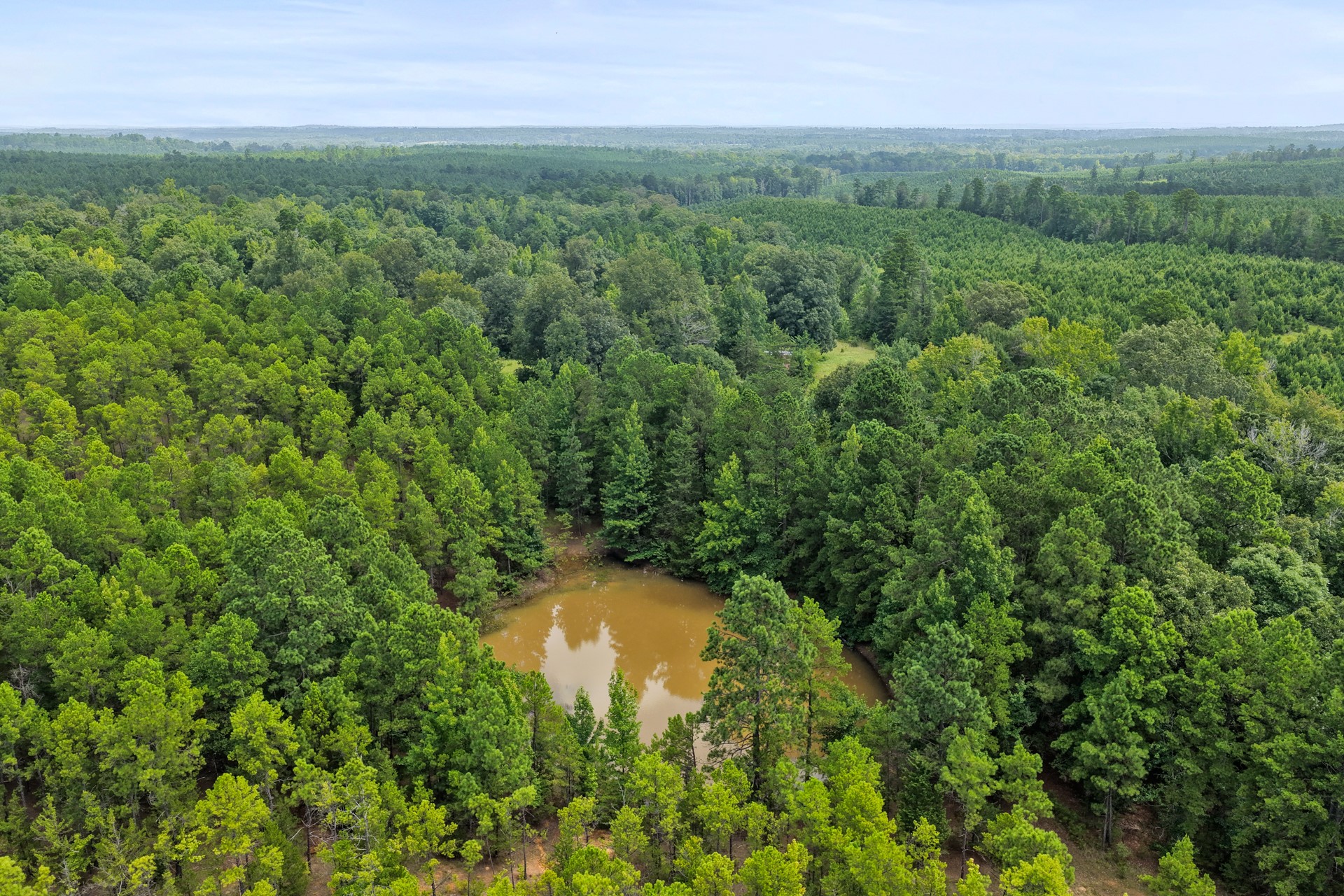 1381 COUNTY ROAD 1763