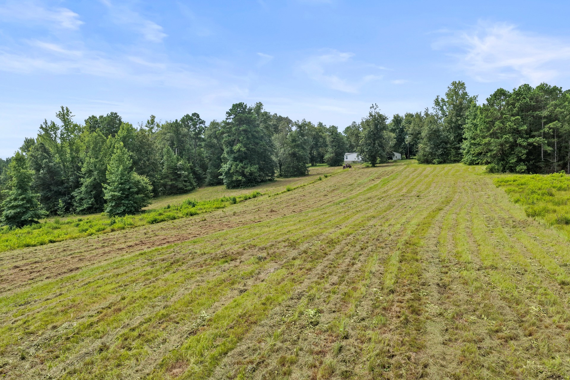 1381 COUNTY ROAD 1763
