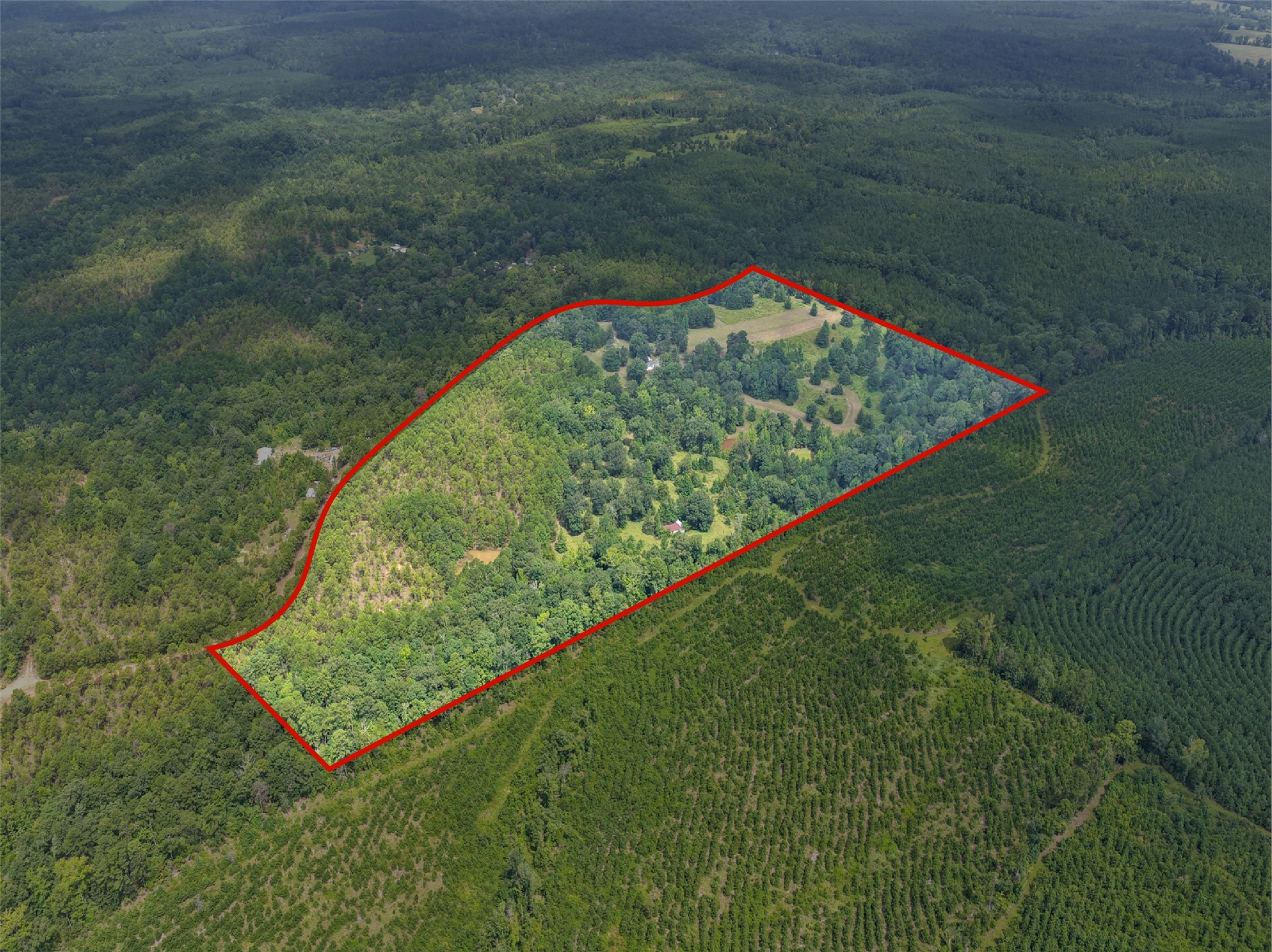 1381 COUNTY ROAD 1763