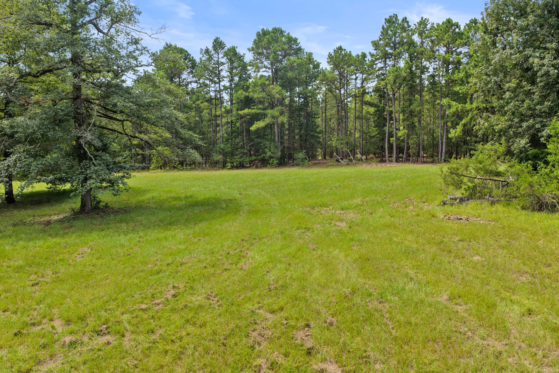 1381 COUNTY ROAD 1763