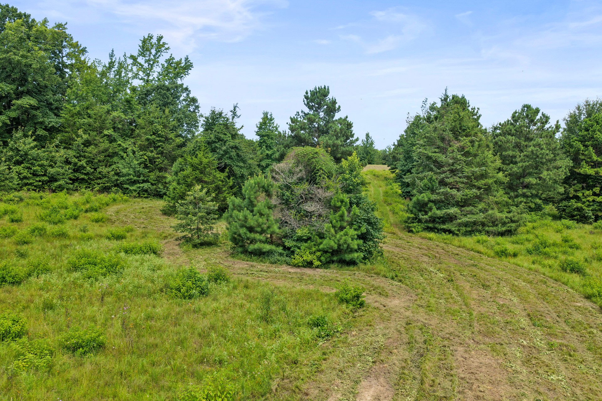 1381 COUNTY ROAD 1763