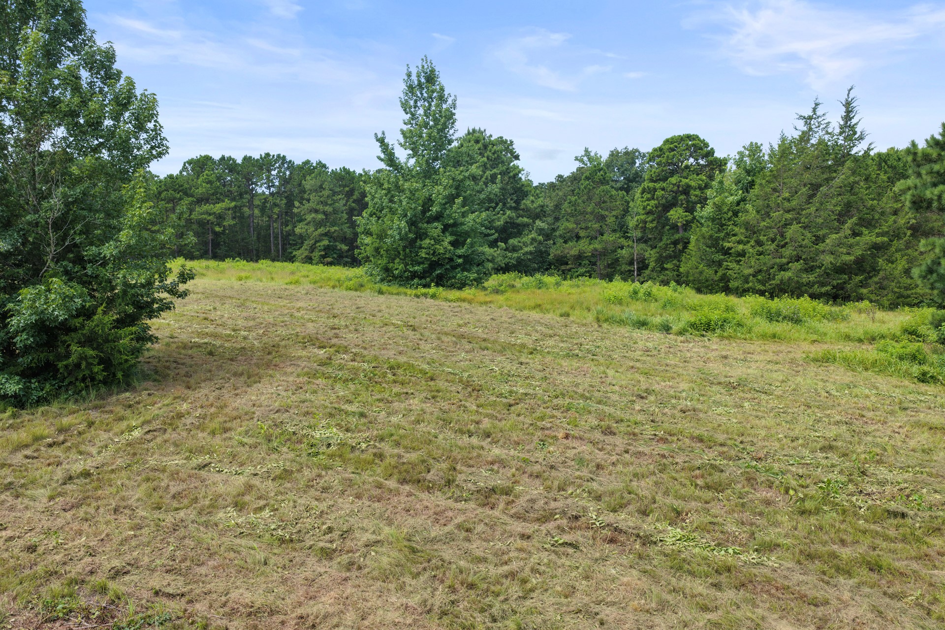 1381 COUNTY ROAD 1763