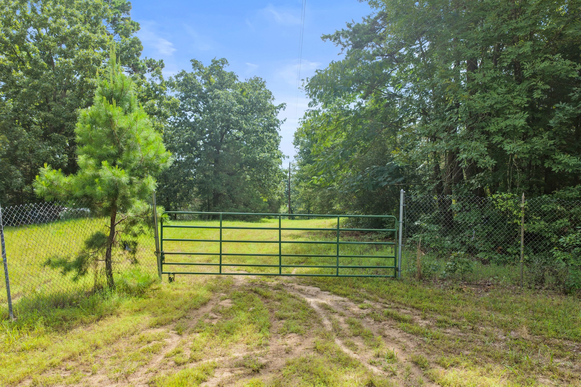 1381 COUNTY ROAD 1763