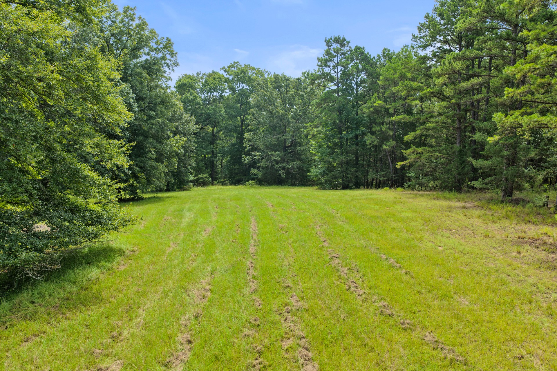 1381 COUNTY ROAD 1763
