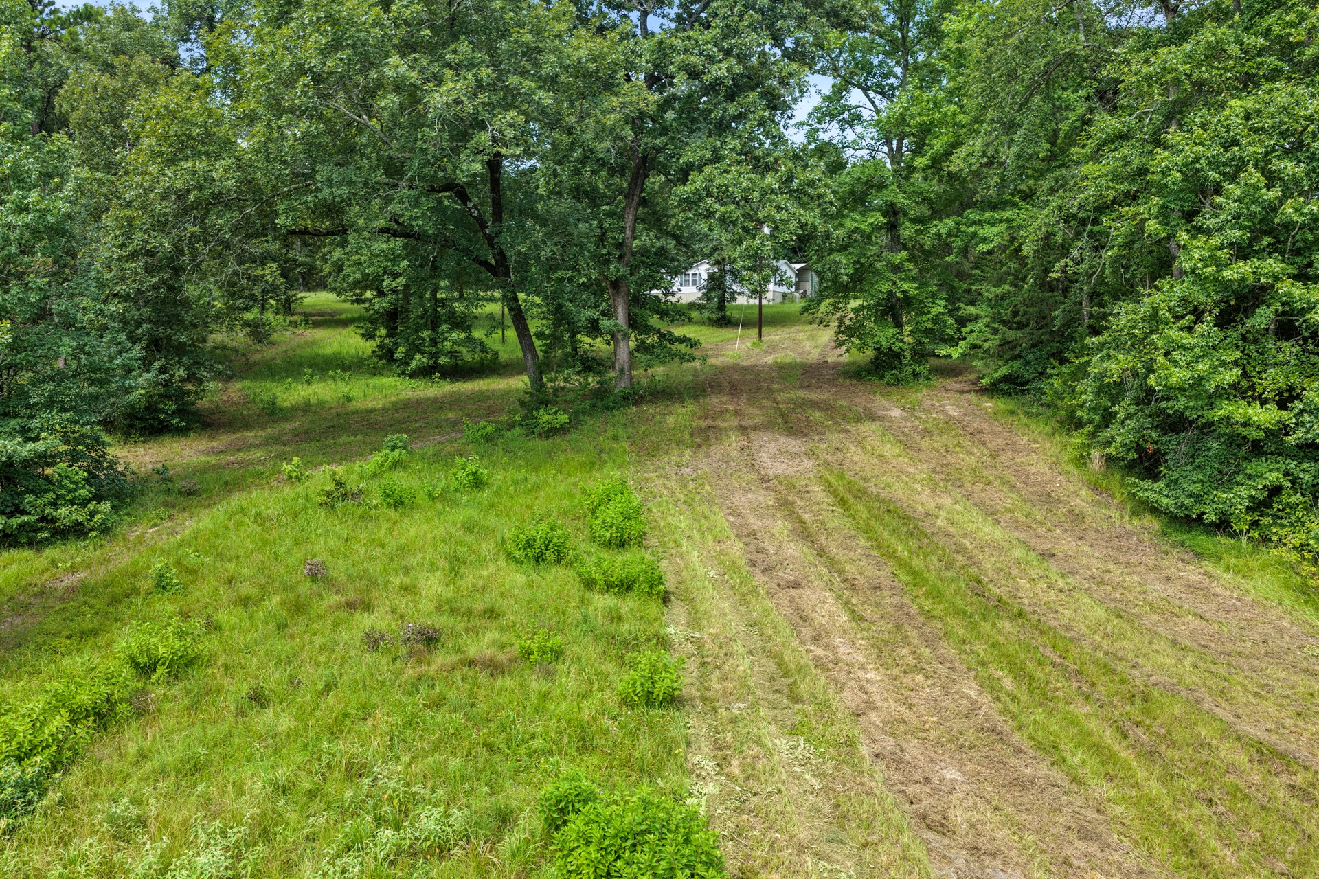 1381 COUNTY ROAD 1763