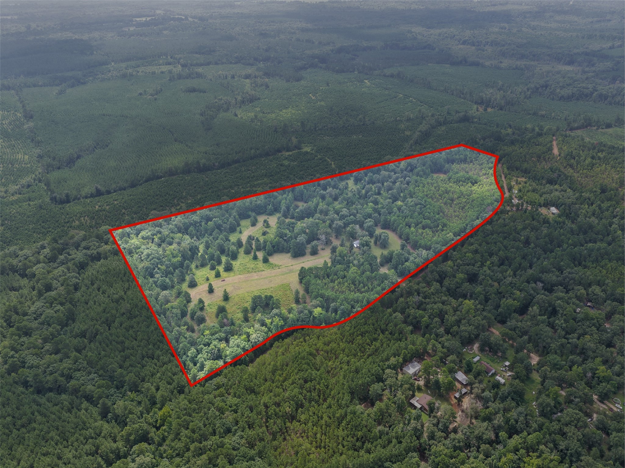 1381 COUNTY ROAD 1763