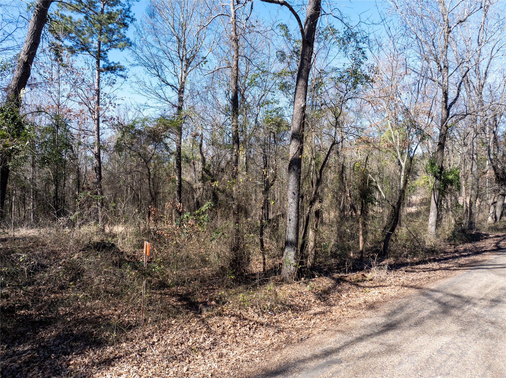 TBD County Road 4246