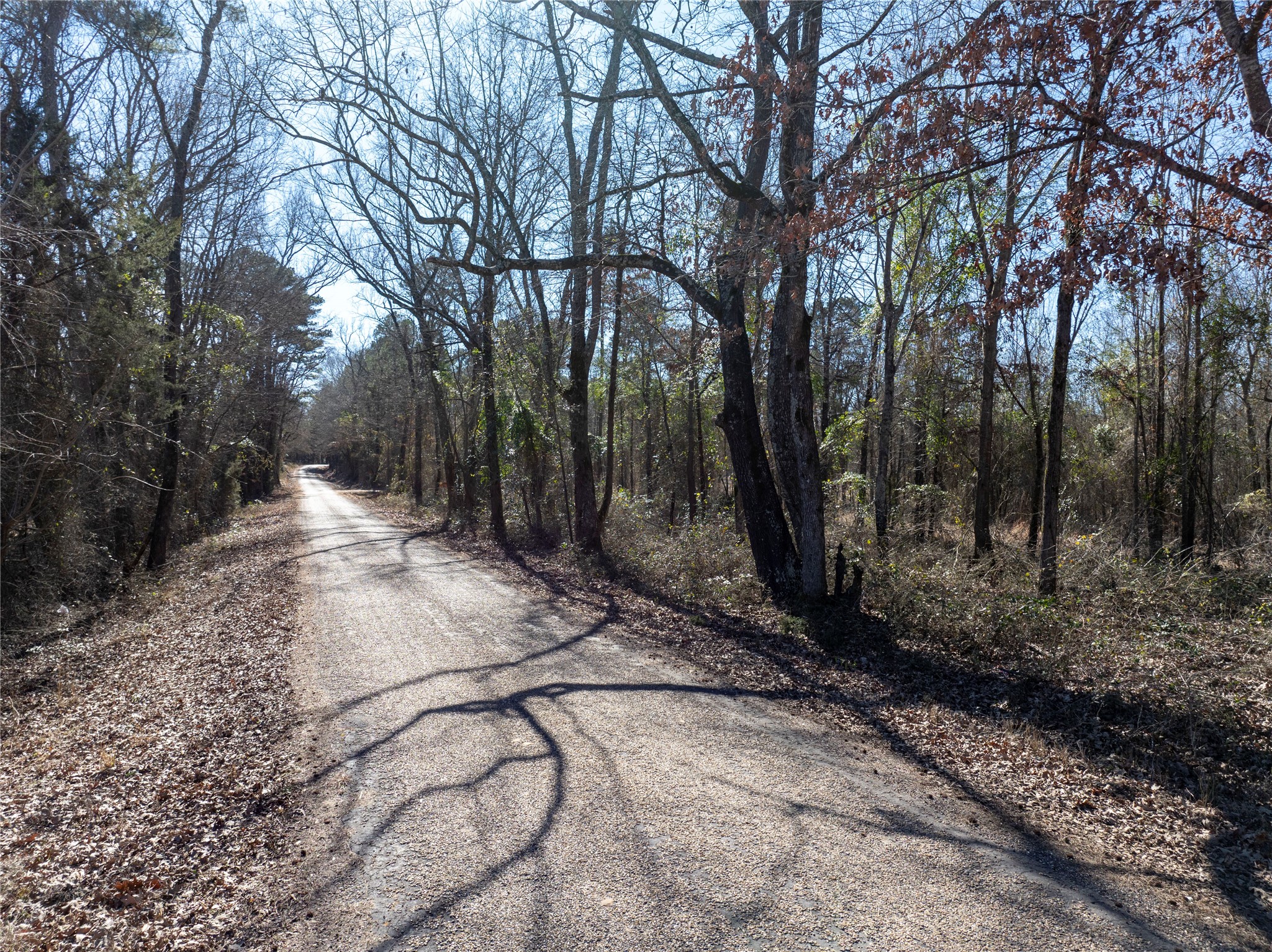 TBD County Road 4246