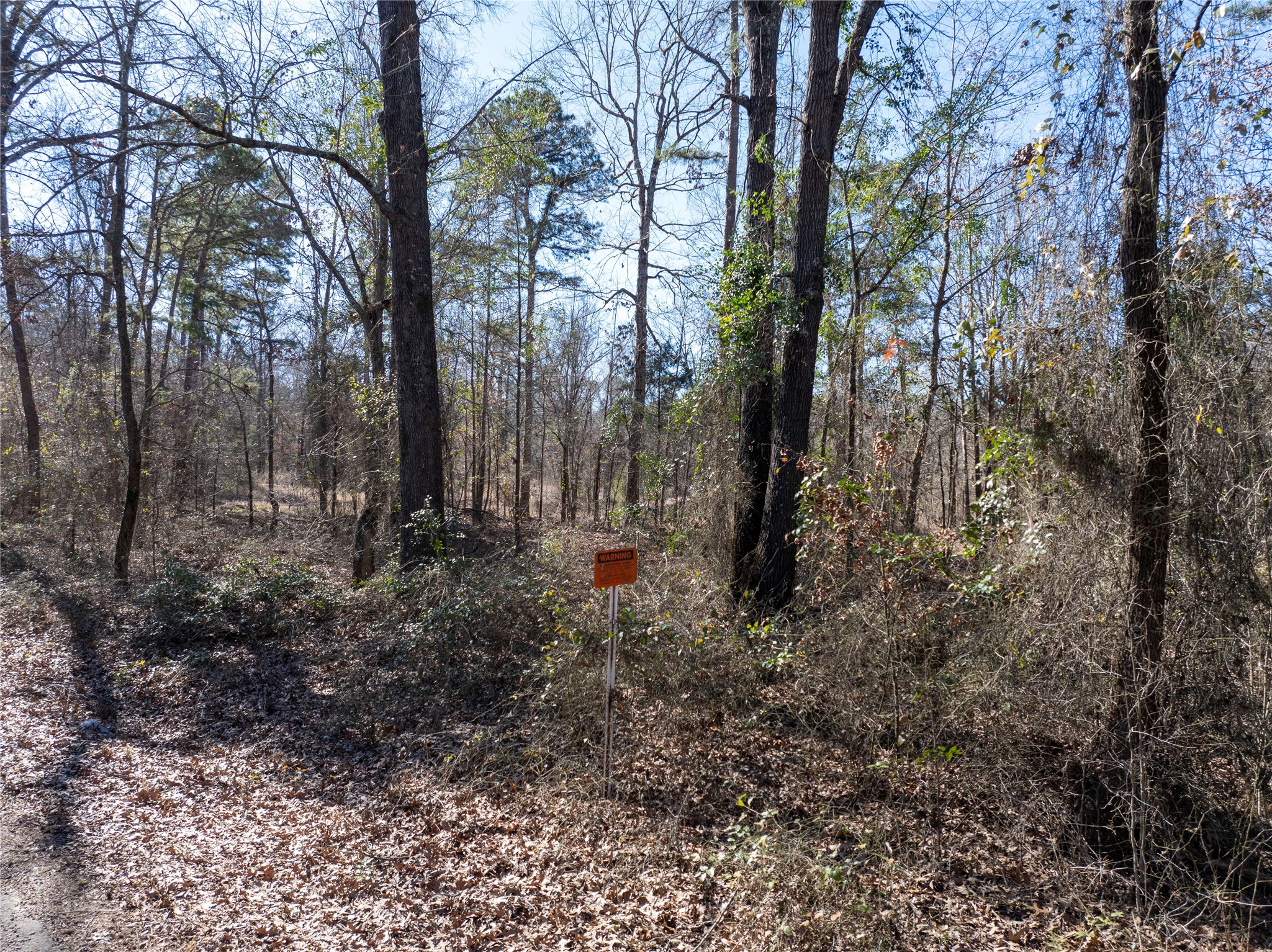 TBD County Road 4246