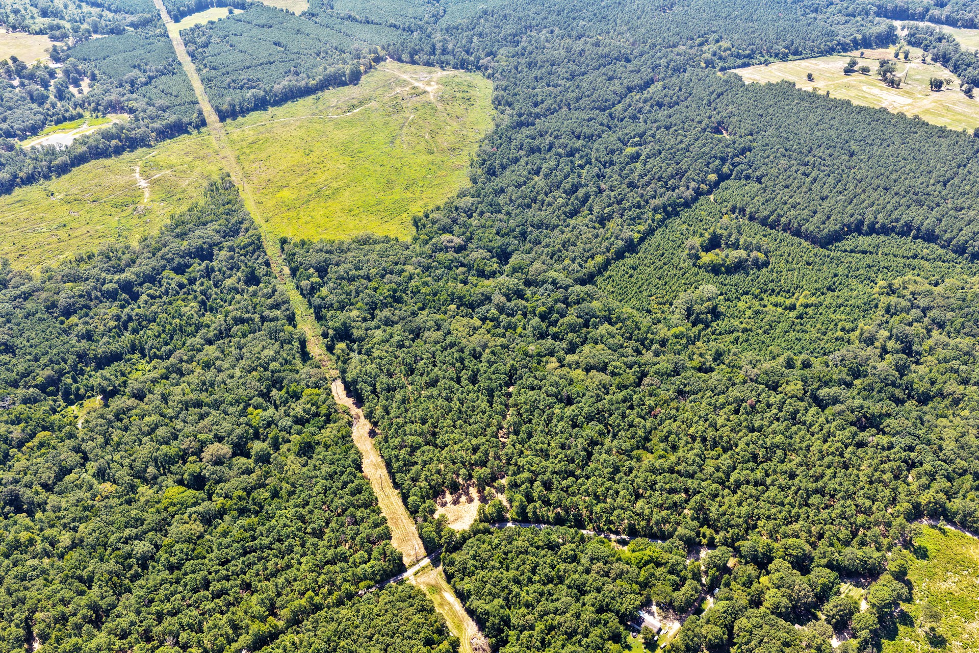 Lot 1 County Road 1240