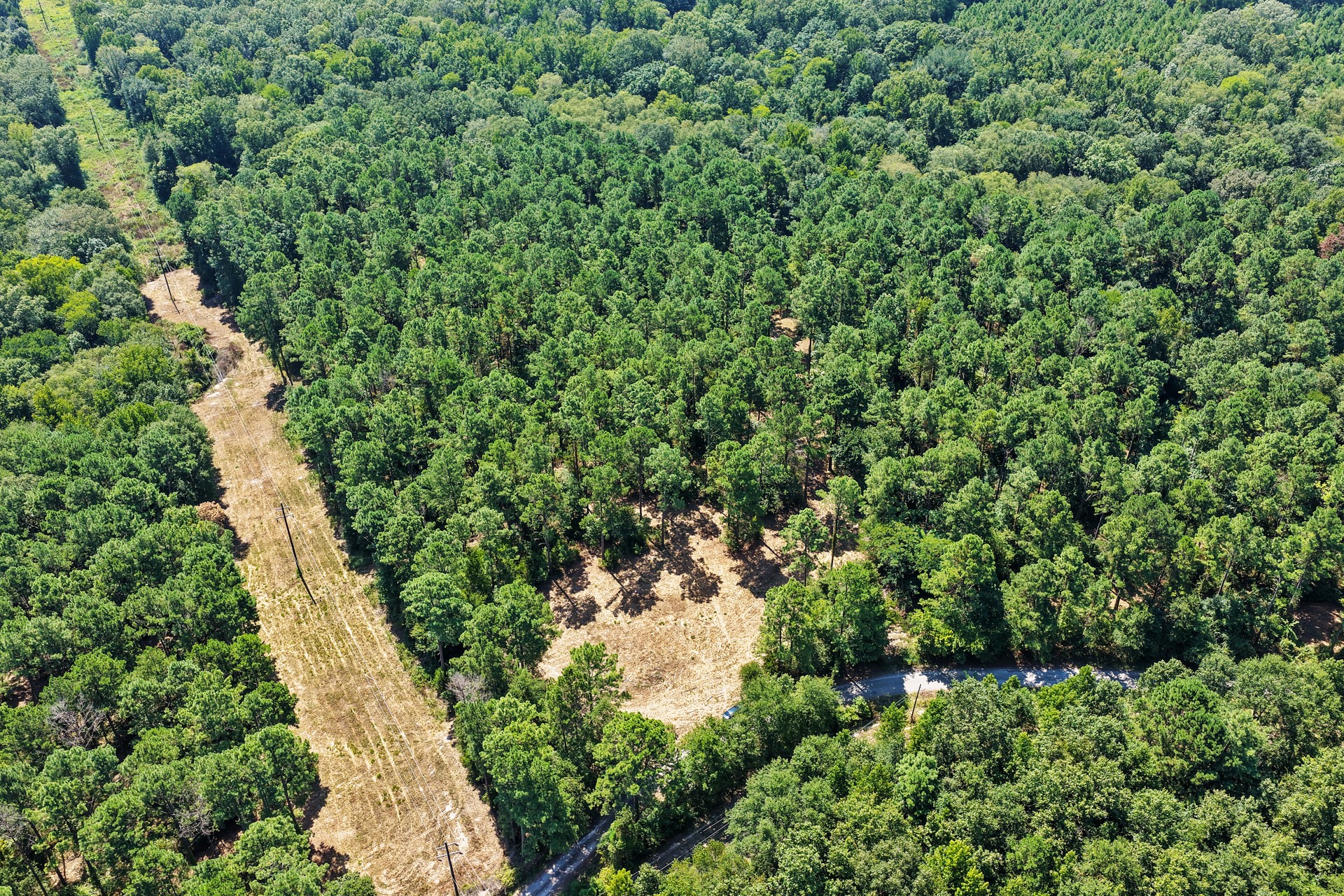Lot 1 County Road 1240