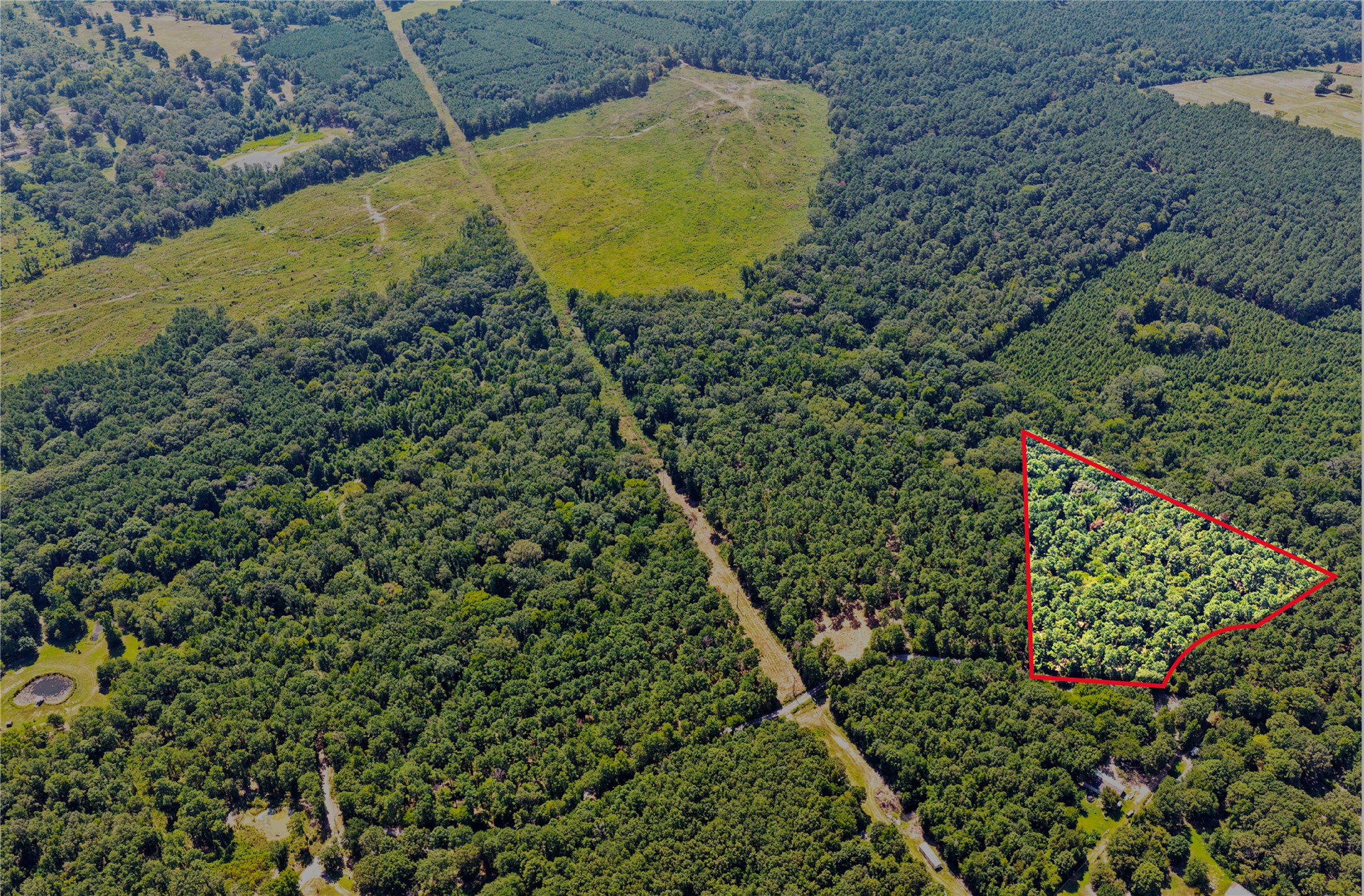 Lot 1 County Road 1240