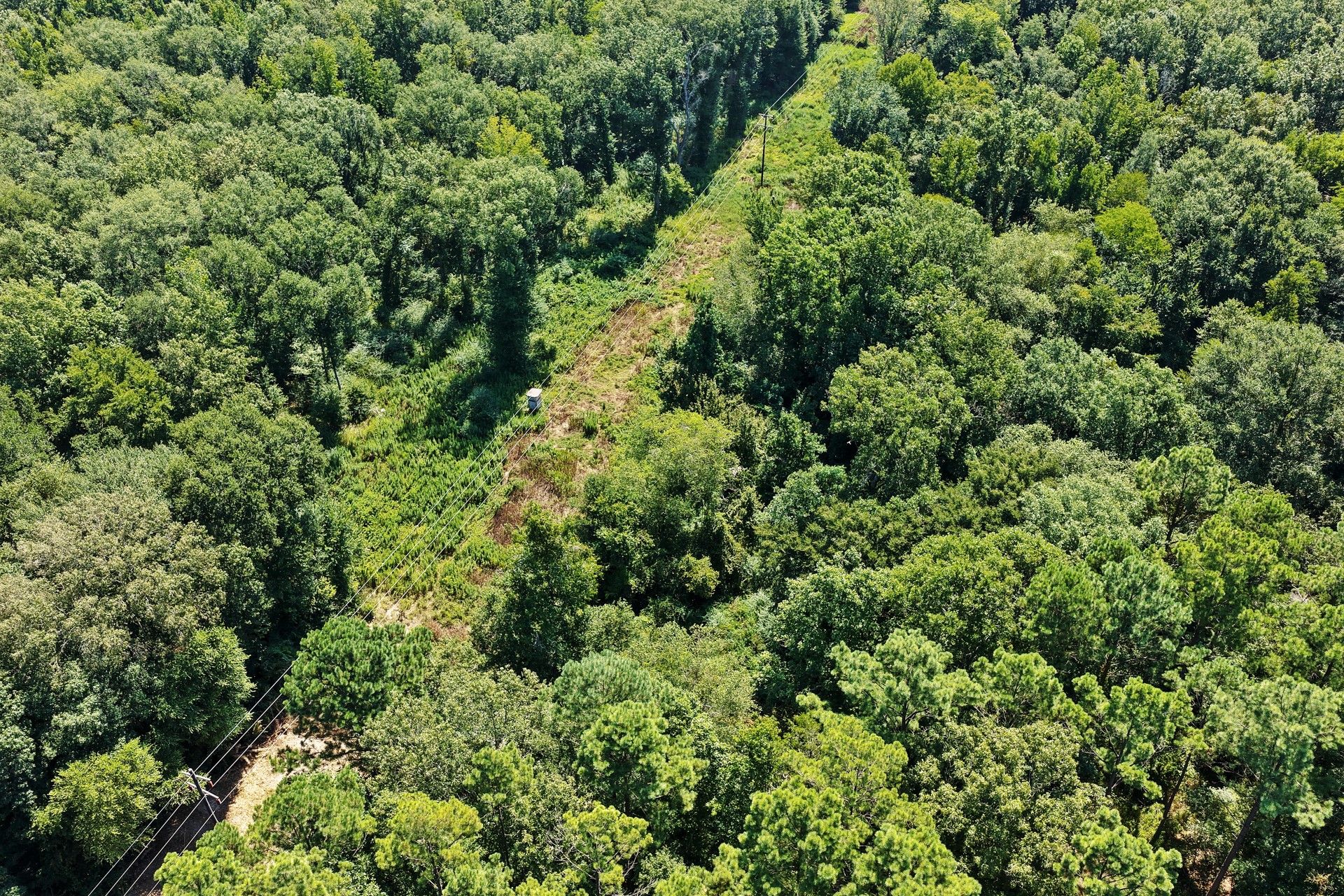 Lot 1 County Road 1240