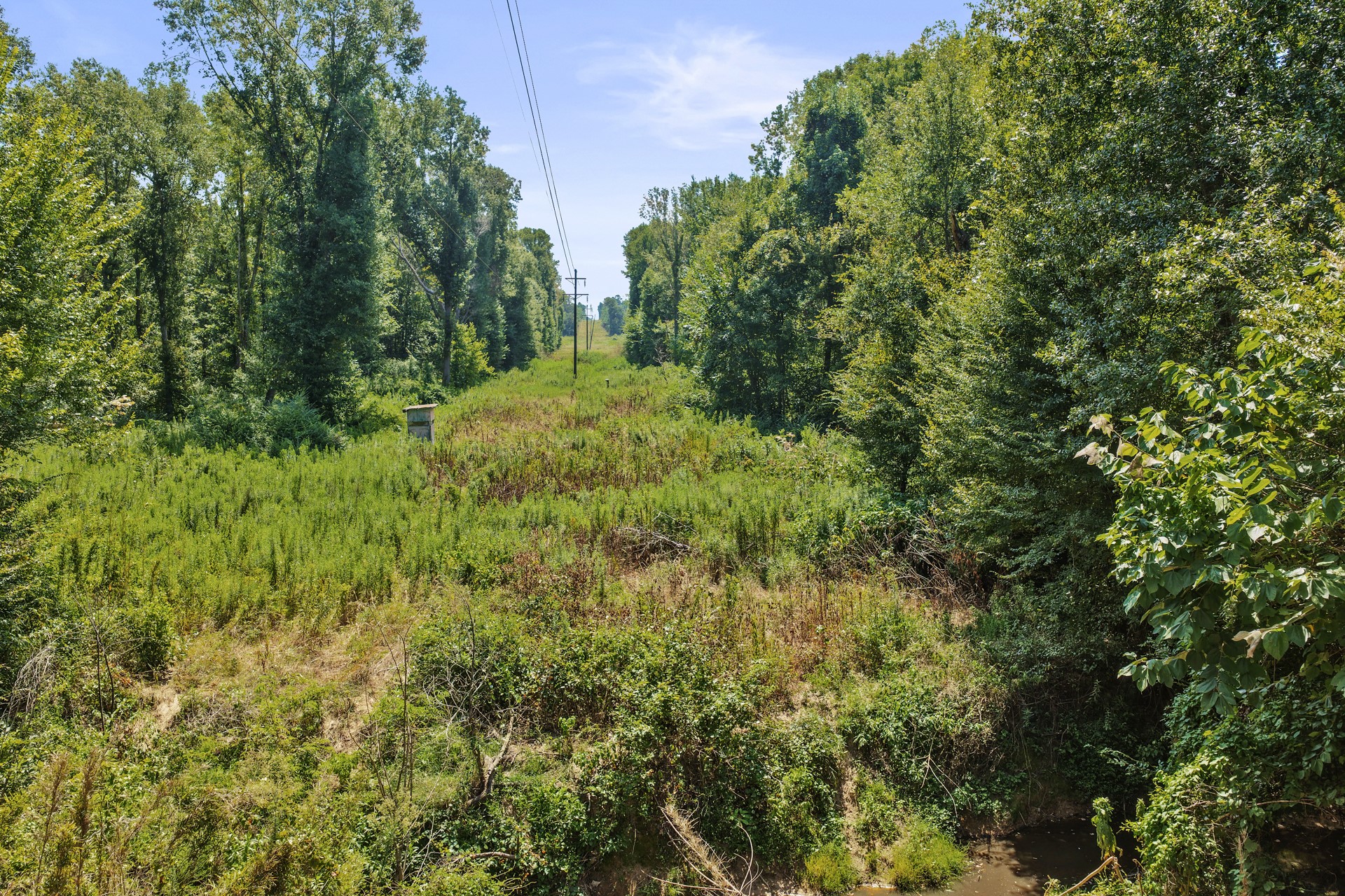Lot 1 County Road 1240